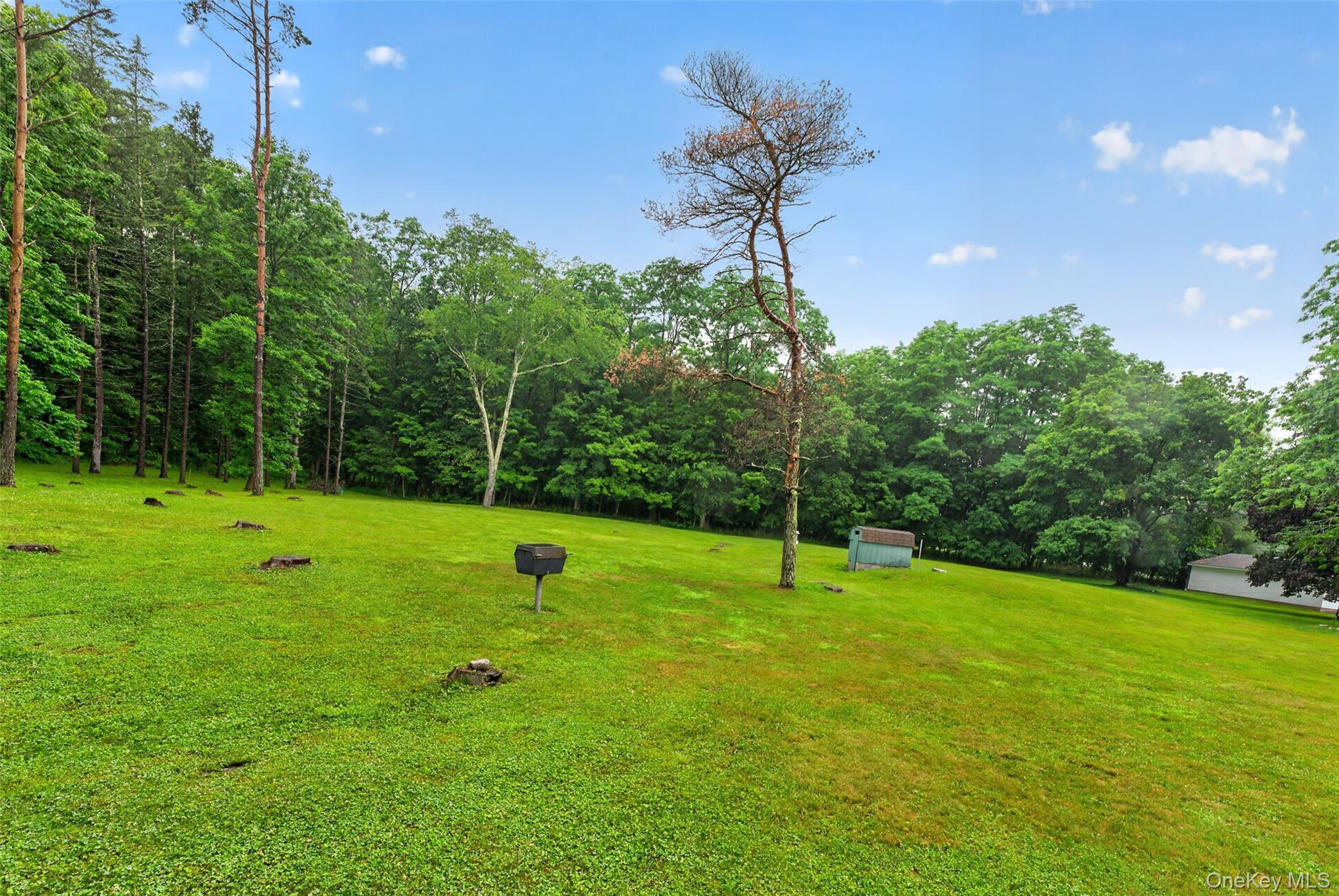 Single Family Route 27 Greene County, NY 12423, MLS-1039634-39