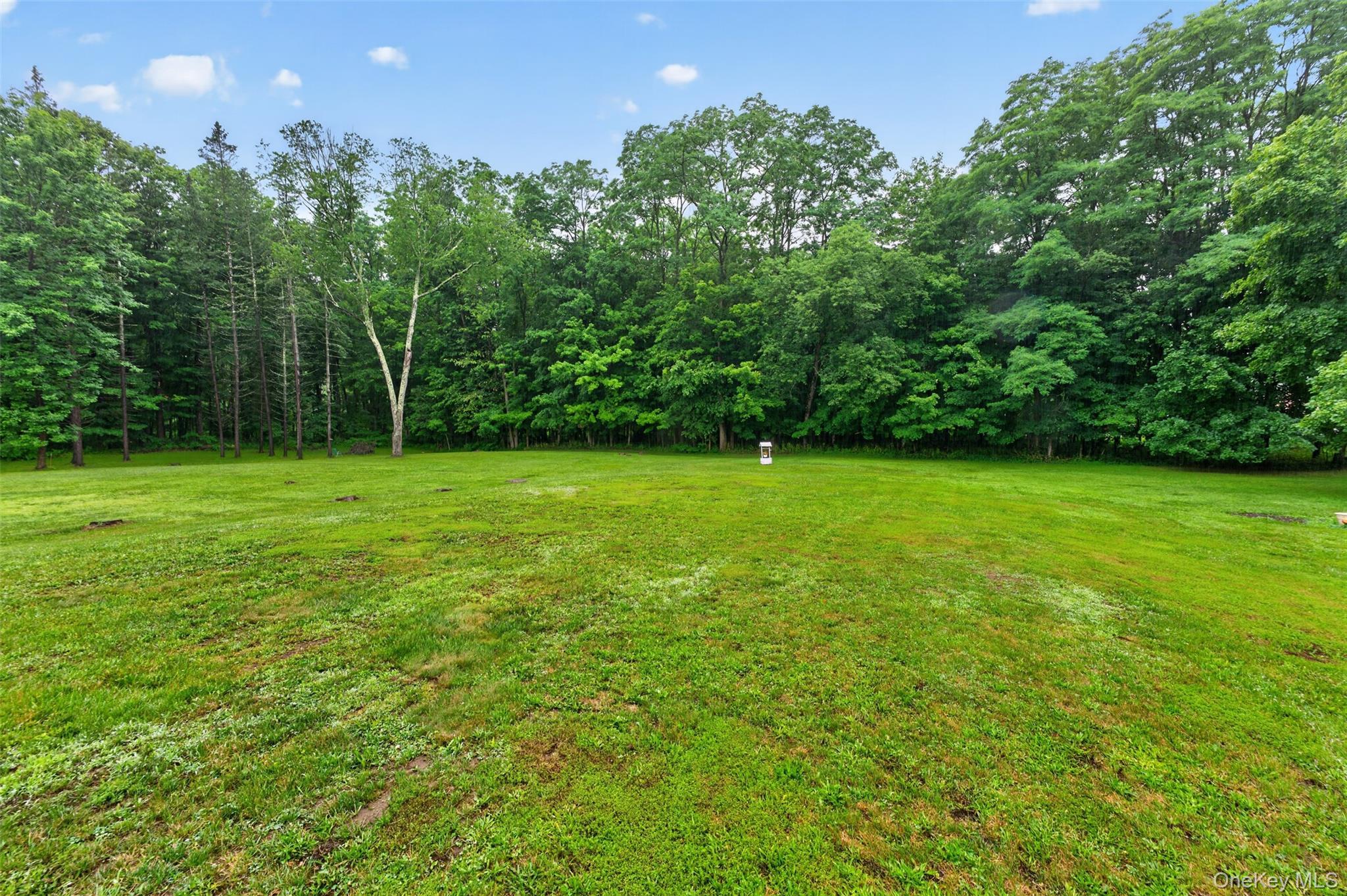 Single Family Route 27 Greene County, NY 12423, MLS-1039634-40