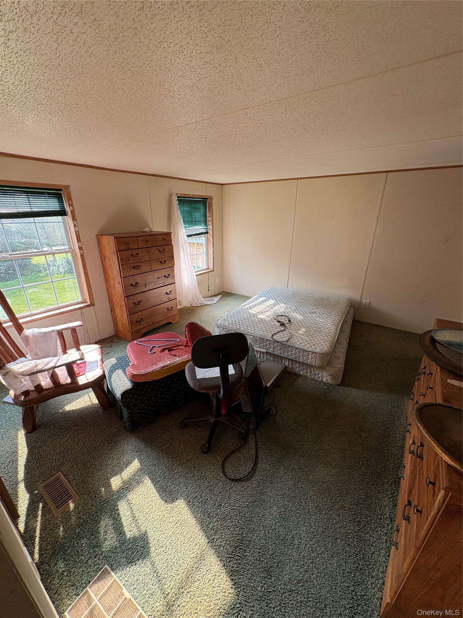Single Family Ryan Road Dutchess County, NY 12567, MLS-1039638-11
