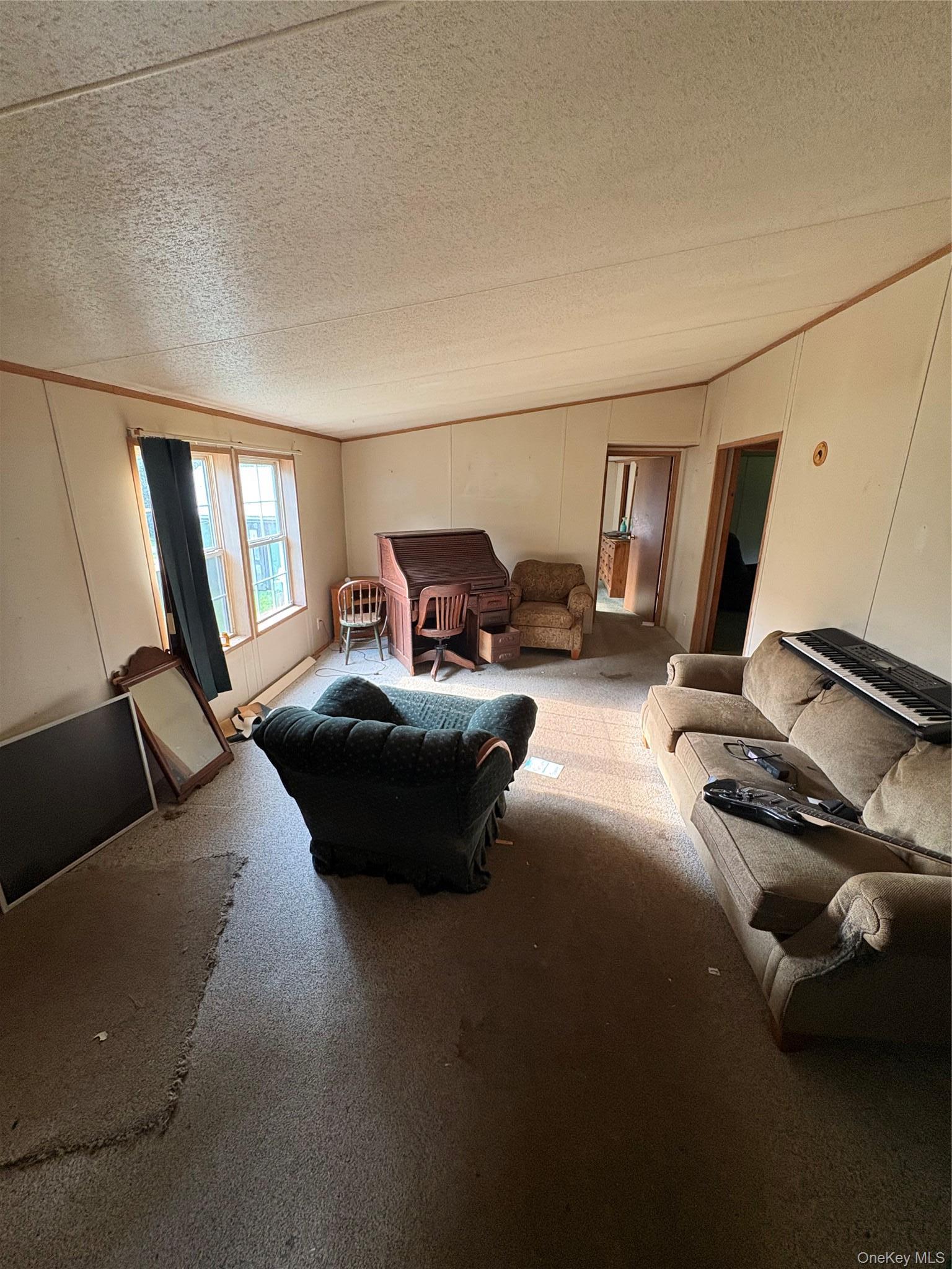 Single Family Ryan Road Dutchess County, NY 12567, MLS-1039638-8