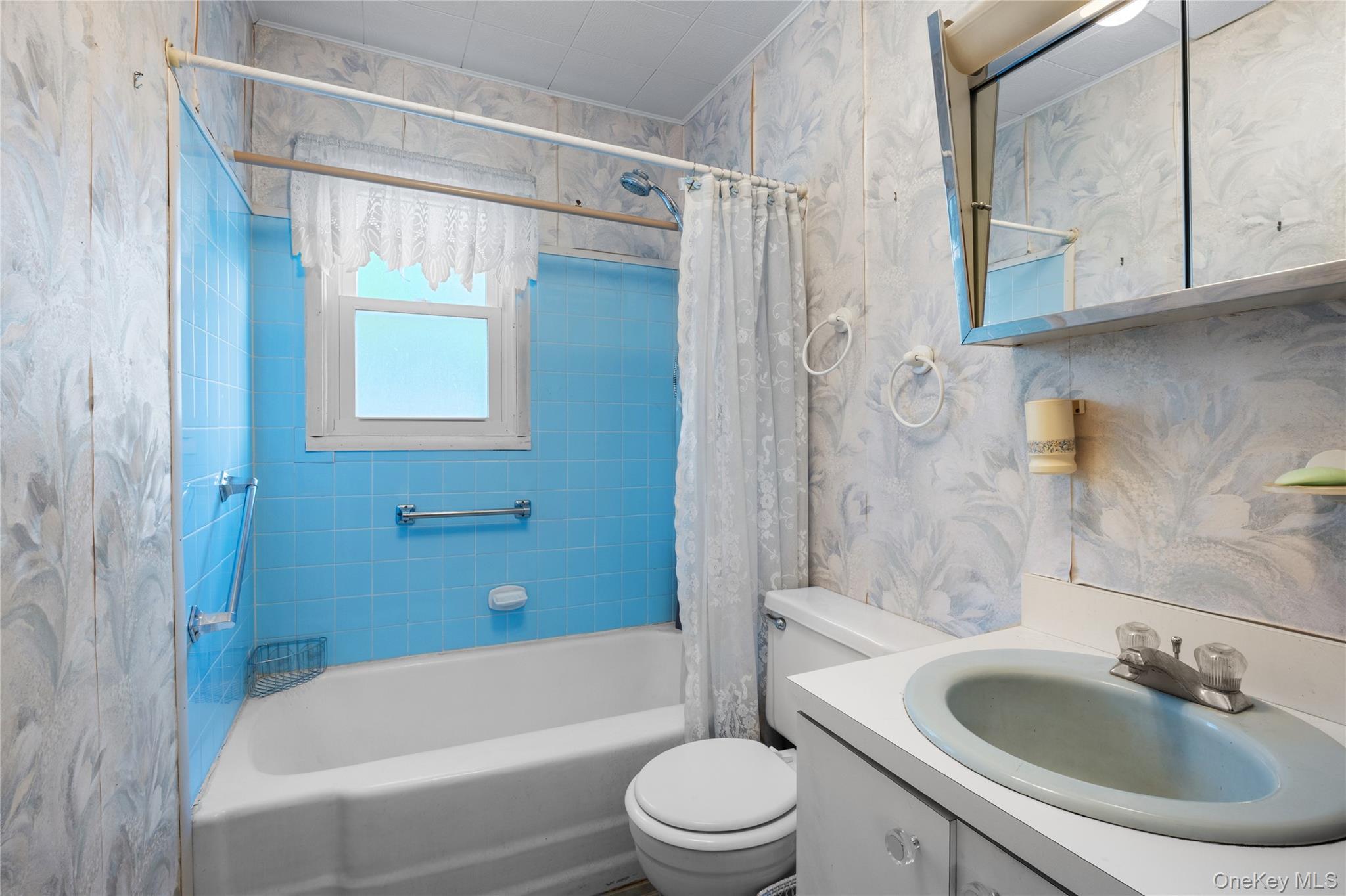 Single Family Pine Lane  Nassau County, NY 11581, MLS-1039641-11