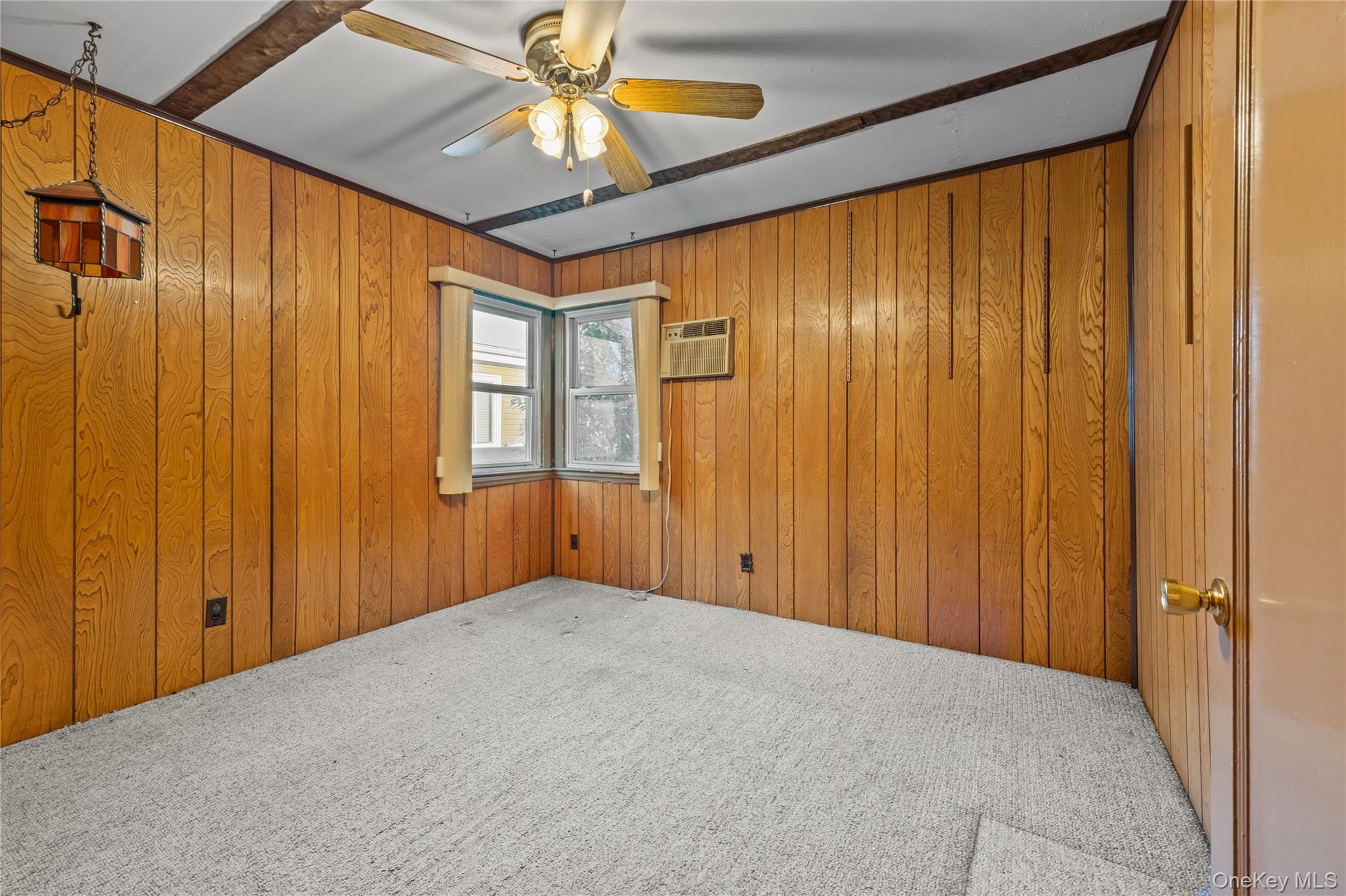 Single Family Pine Lane  Nassau County, NY 11581, MLS-1039641-12