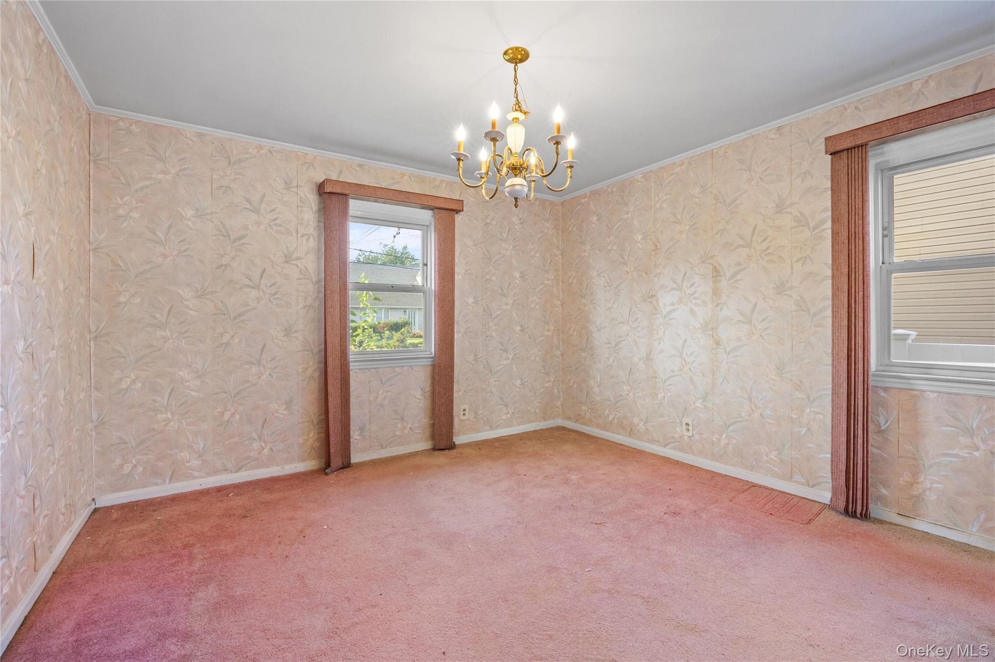 Single Family Pine Lane  Nassau County, NY 11581, MLS-1039641-13