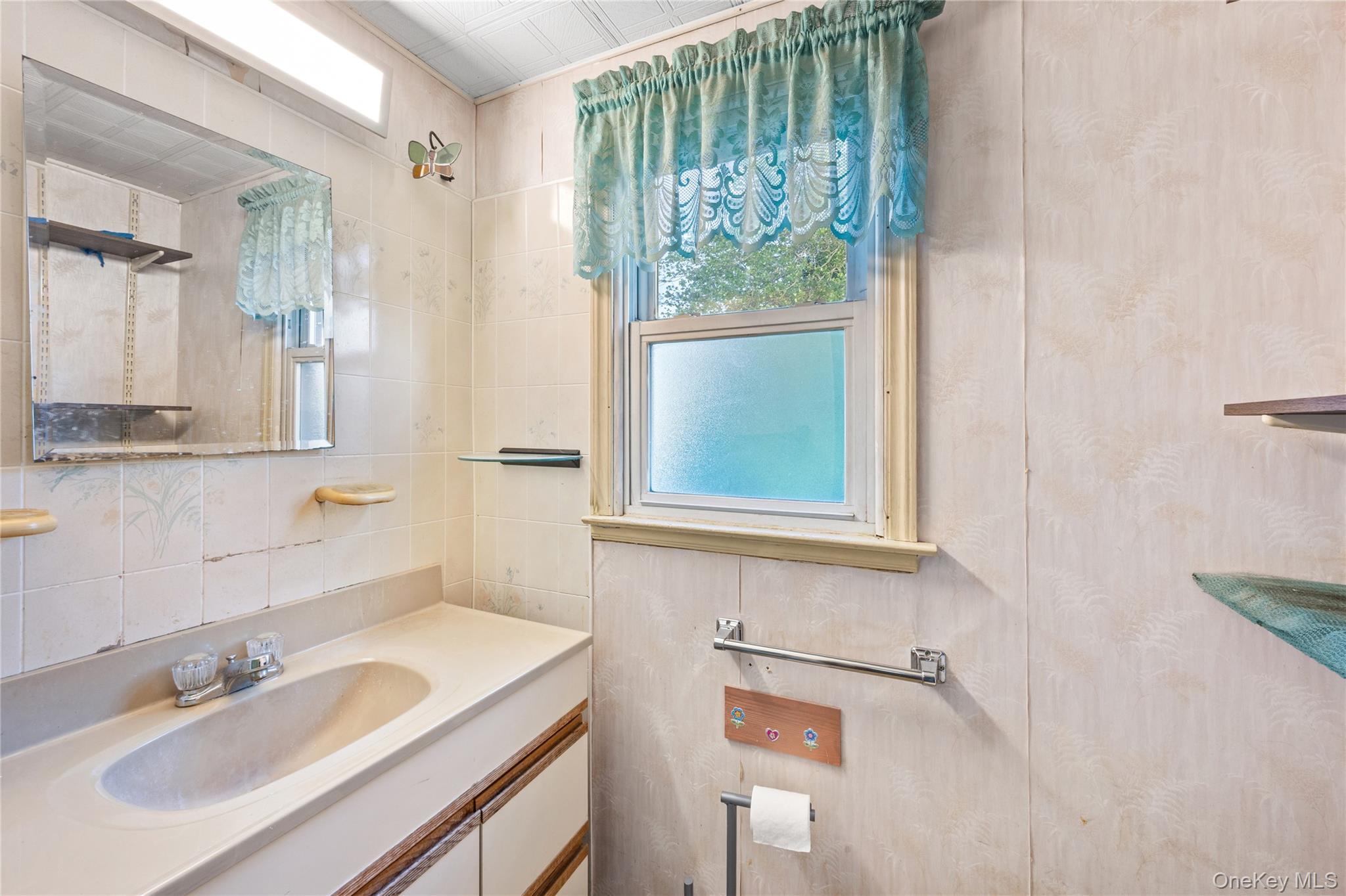 Single Family Pine Lane  Nassau County, NY 11581, MLS-1039641-16