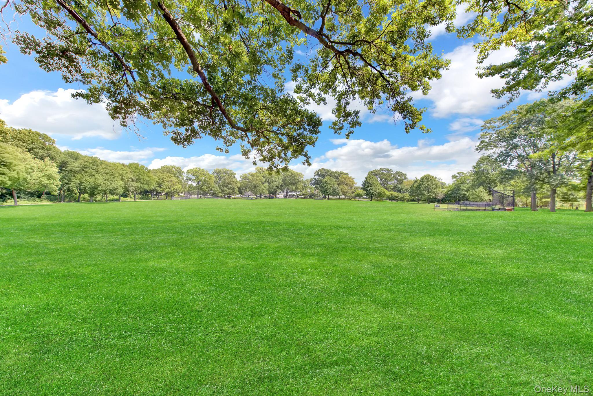 Single Family 118th Avenue Queens, NY 11434, MLS-1039708-20