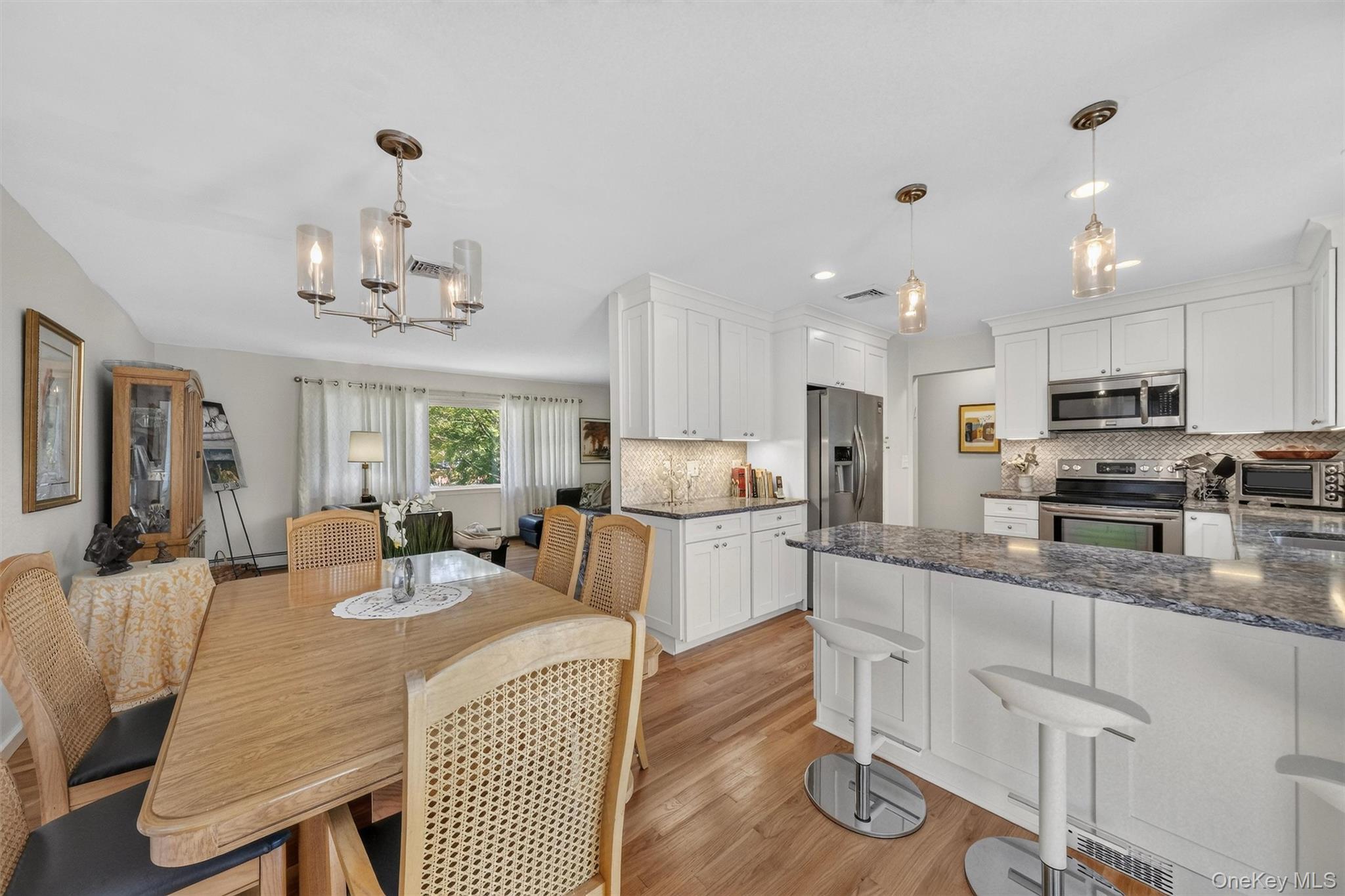 Single Family Hagan Drive Dutchess County, NY 12603, MLS-1039732-21
