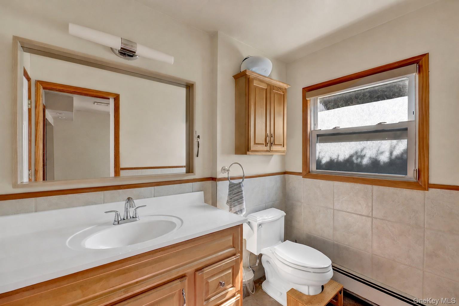 Single Family Madison Street Nassau County, NY 11003, MLS-1039752-10
