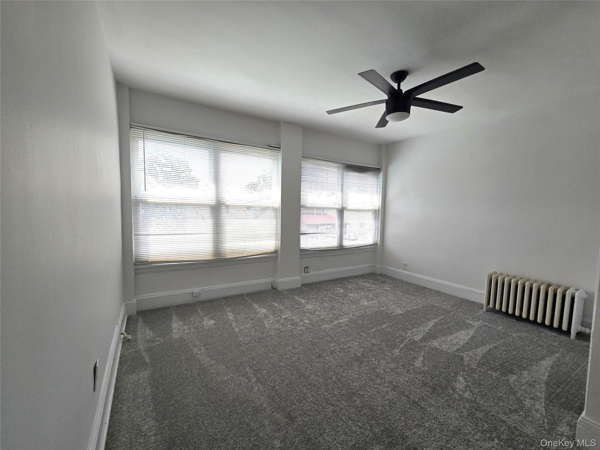 Single Family 119th Avenue Queens, NY 11434, MLS-1039794-19