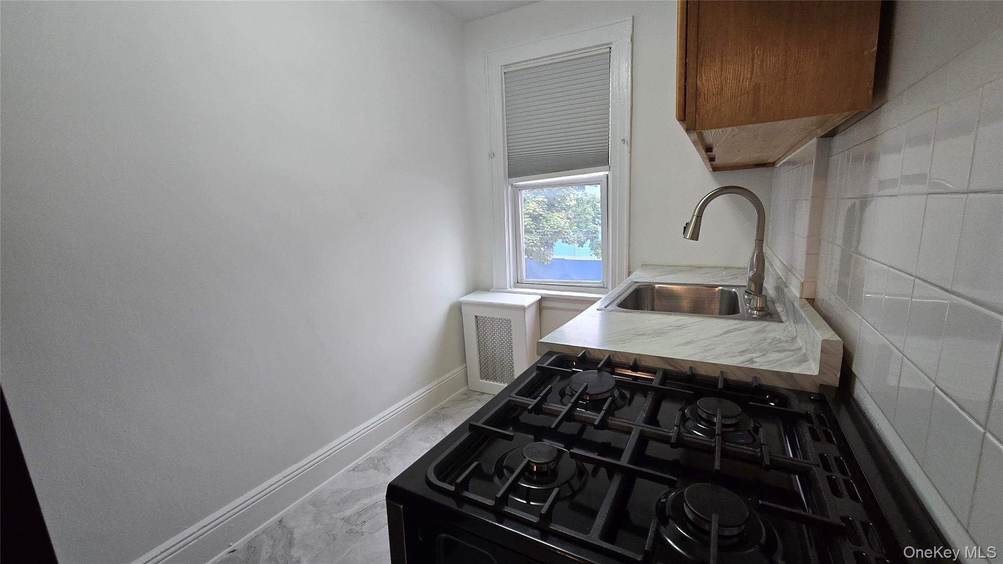 Single Family 119th Avenue Queens, NY 11434, MLS-1039794-23