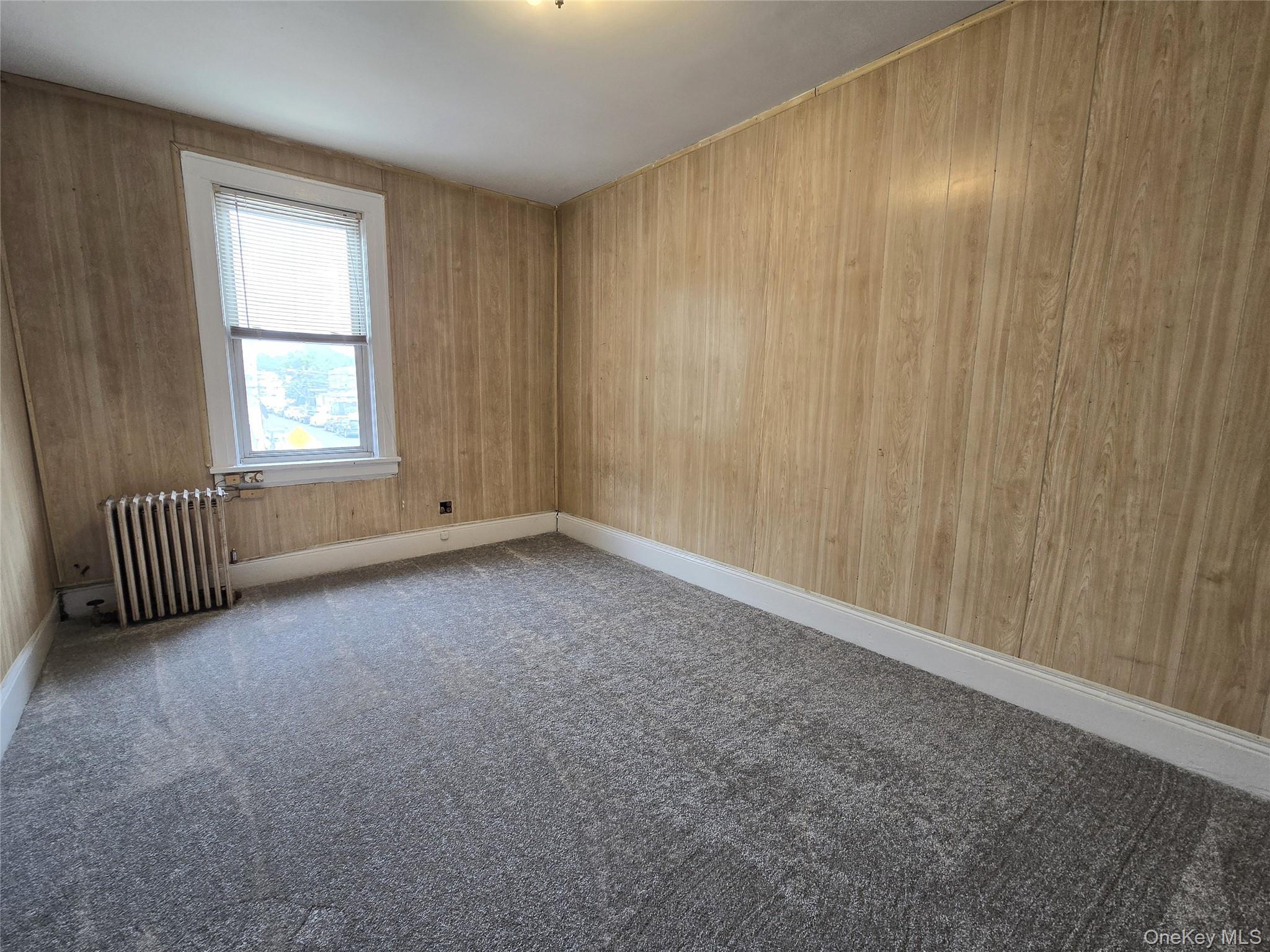 Single Family 119th Avenue Queens, NY 11434, MLS-1039794-25