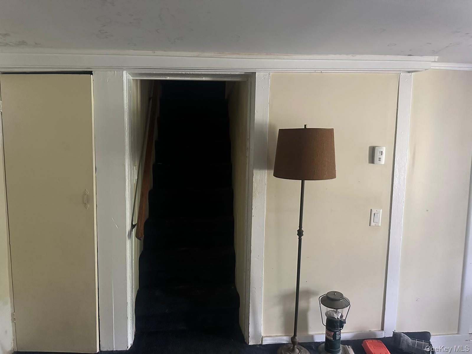 Single Family Binnewater Road Ulster County, NY 12401, MLS-1039795-30
