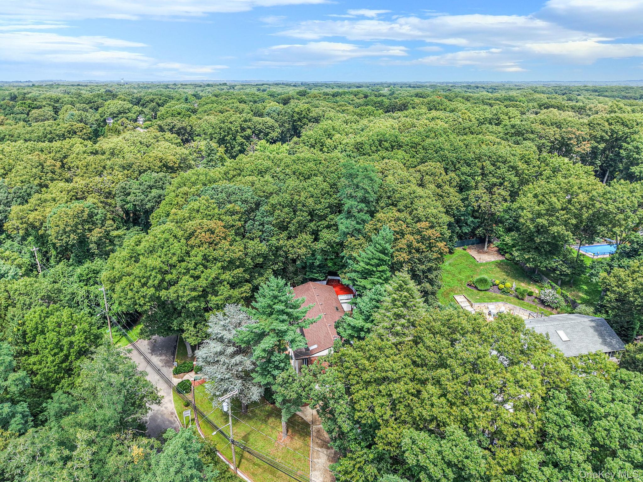 Single Family Colonial Drive  Suffolk County, NY 11787, MLS-1039816-46