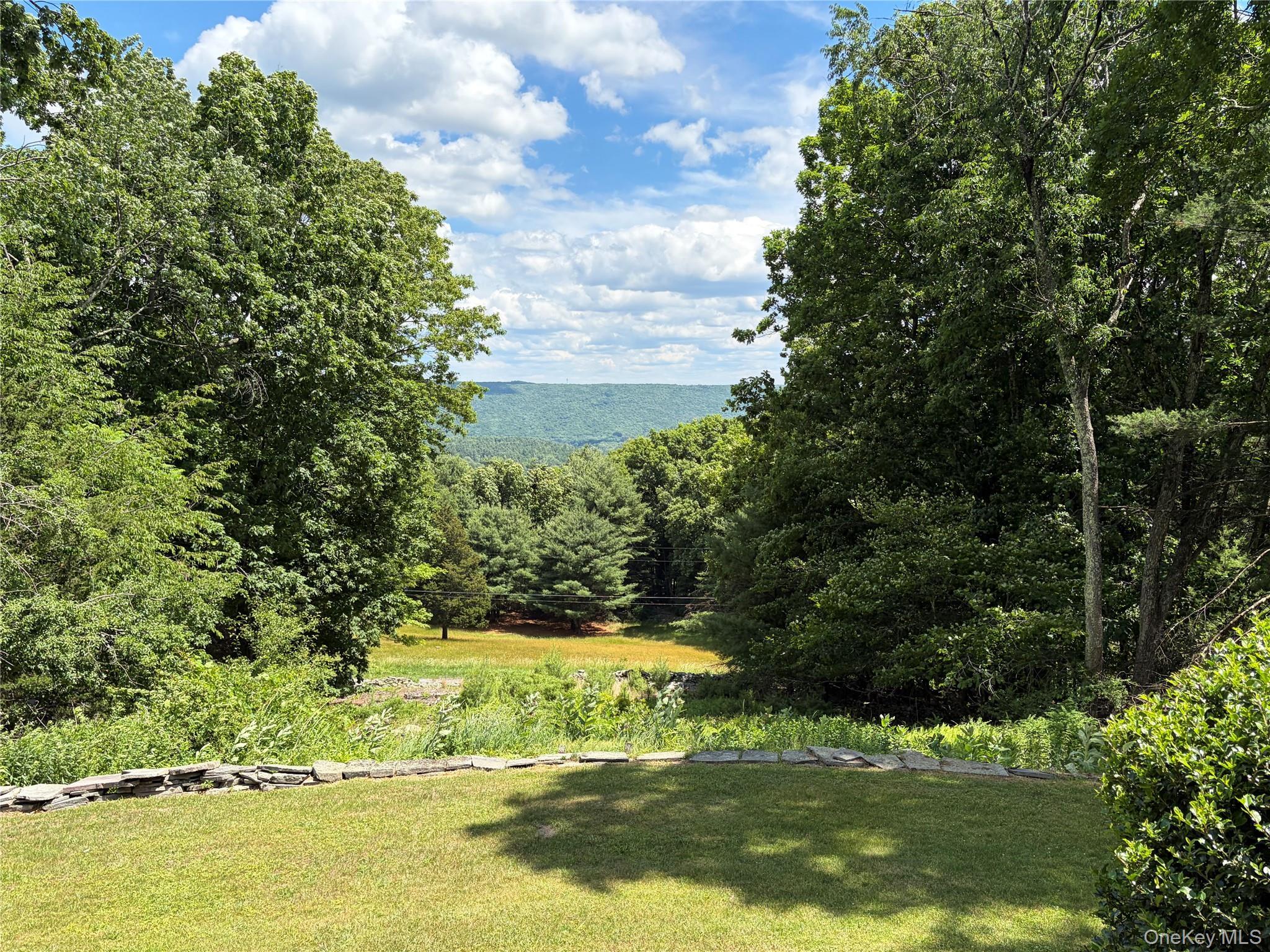 Single Family David Rhodes Road  Sullivan County, NY 12790, MLS-1039820-2
