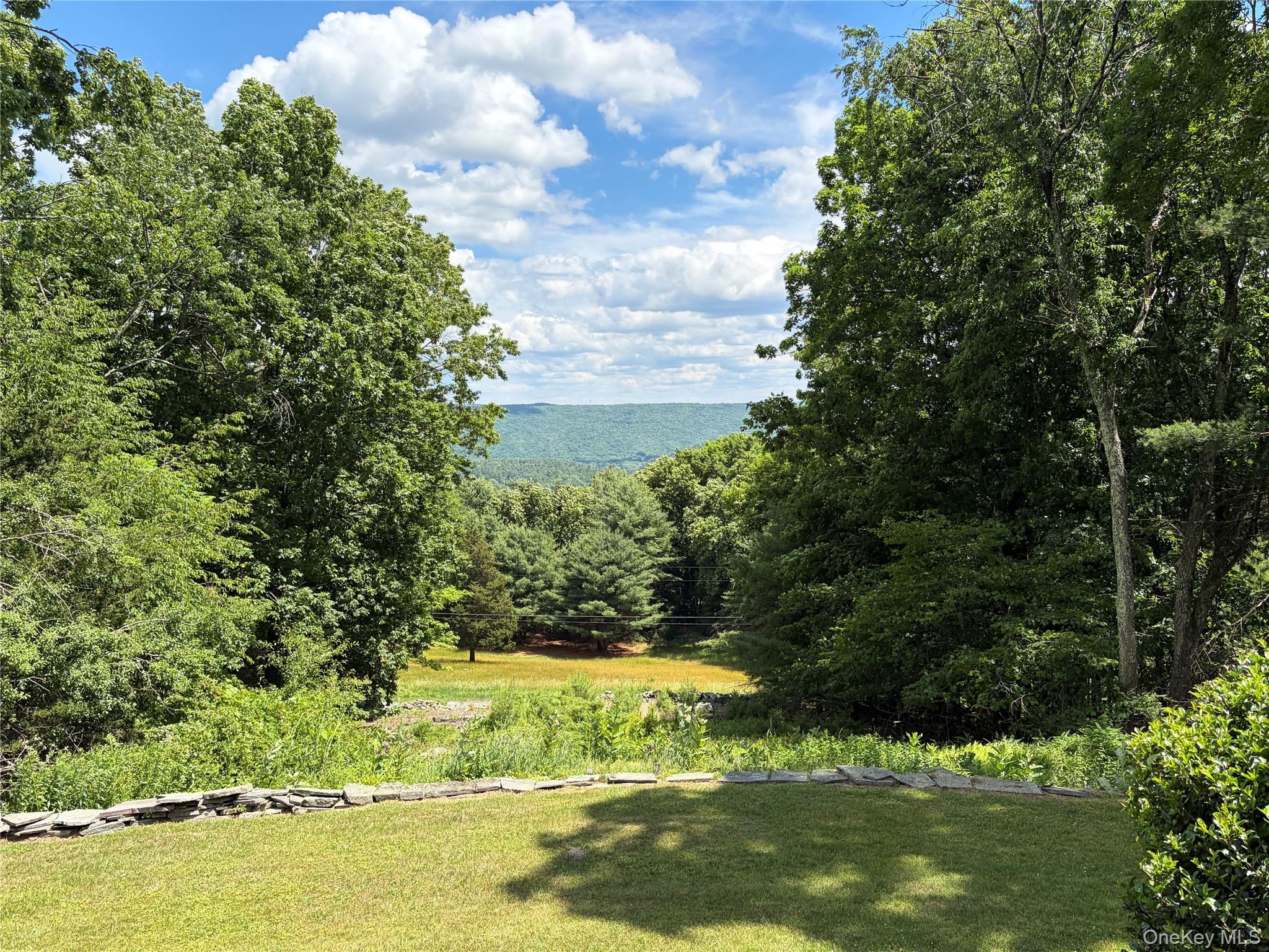 Single Family David Rhodes Road  Sullivan County, NY 12790, MLS-1039820-23