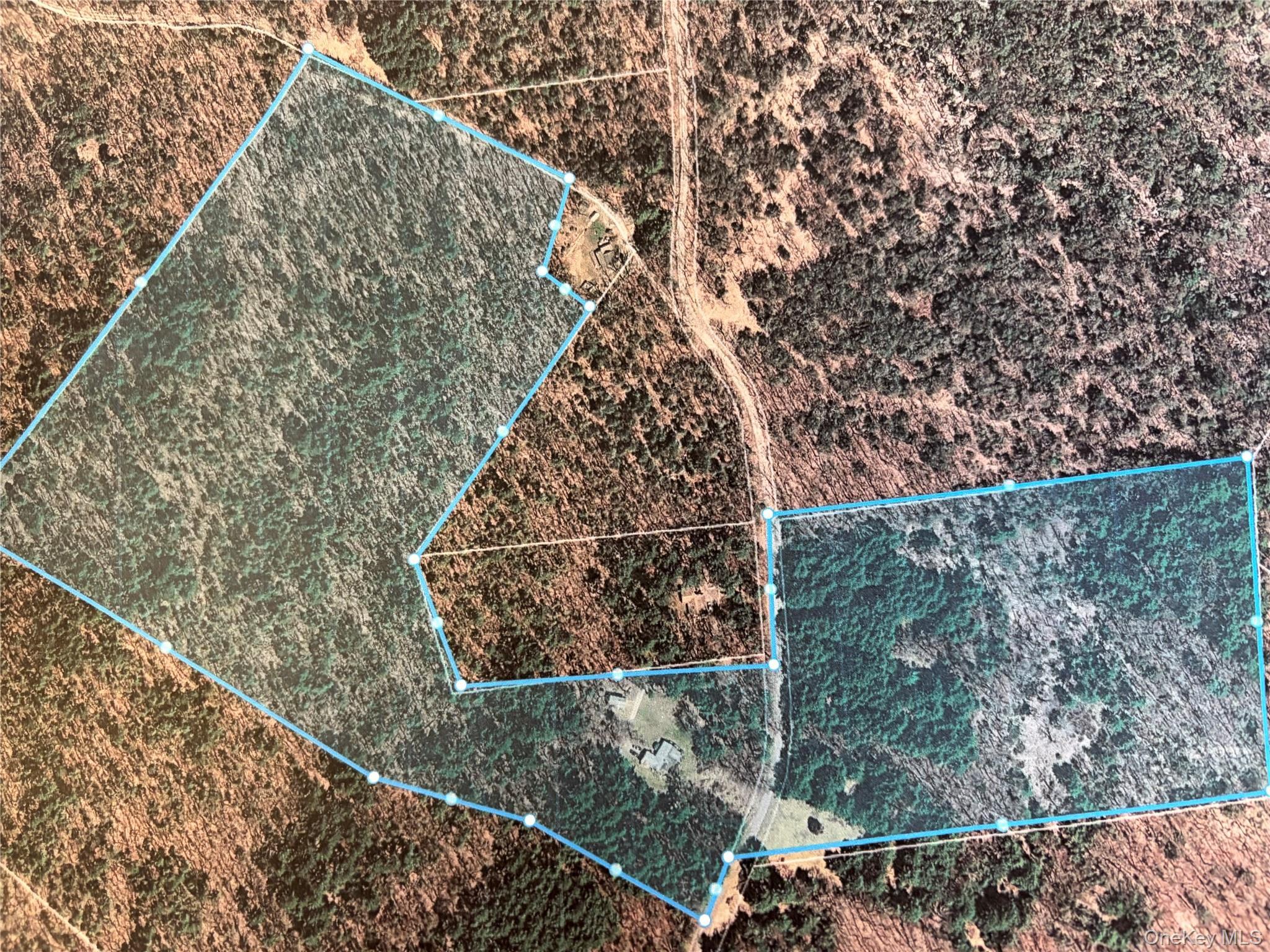 Single Family David Rhodes Road  Sullivan County, NY 12790, MLS-1039820-3