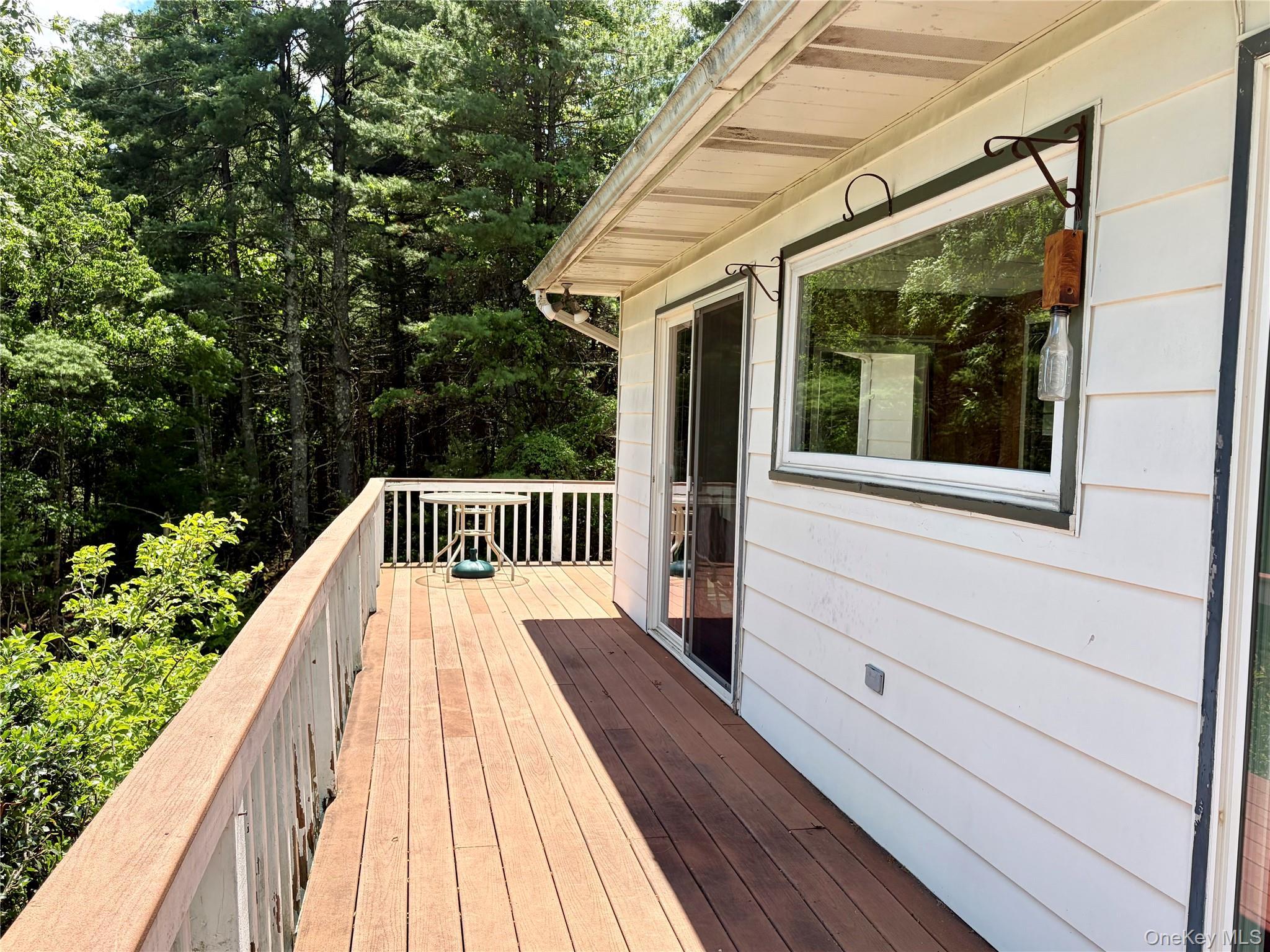 Single Family David Rhodes Road  Sullivan County, NY 12790, MLS-1039820-9