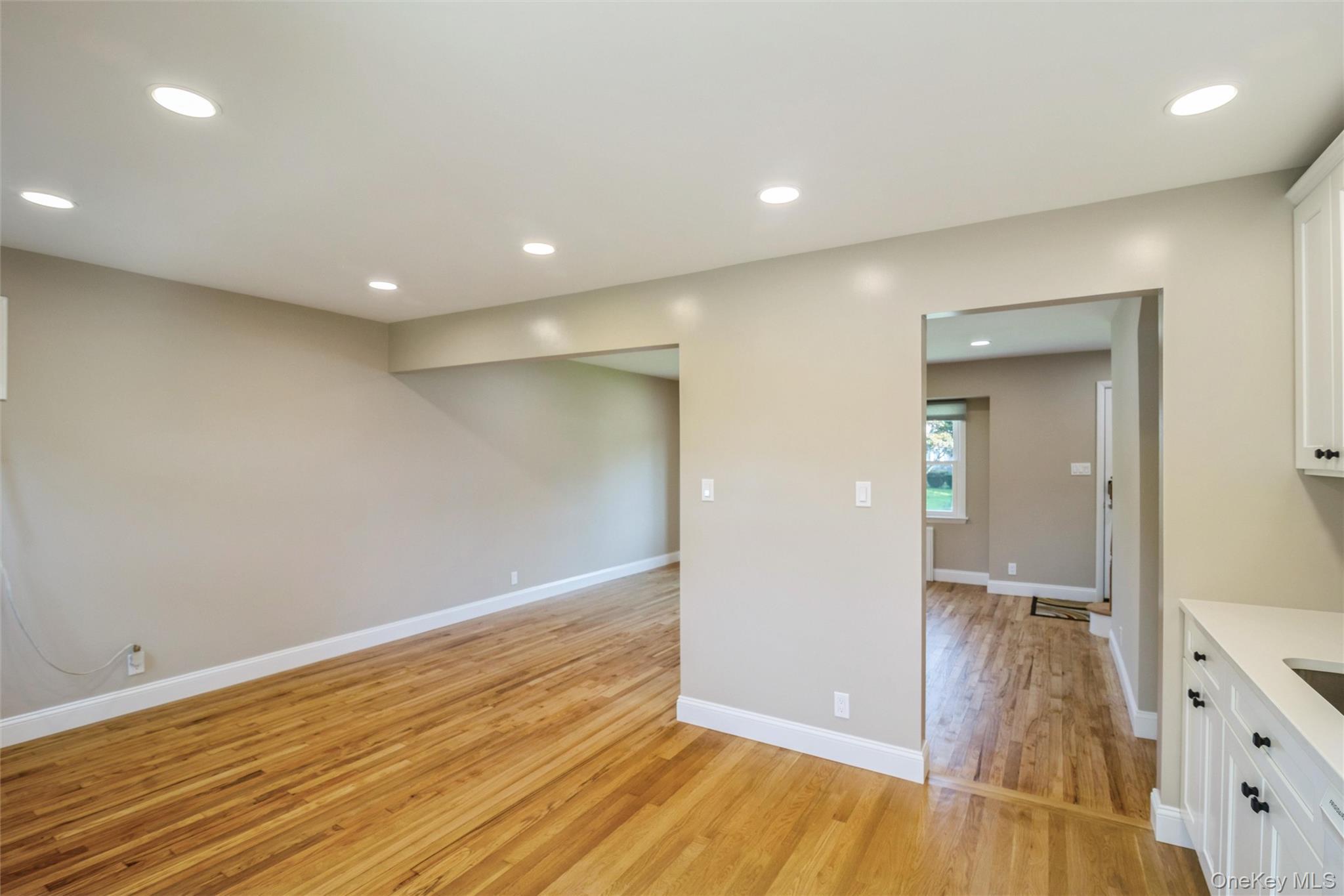 Single Family N Hawthorne Street  Nassau County, NY 11758, MLS-1039823-12