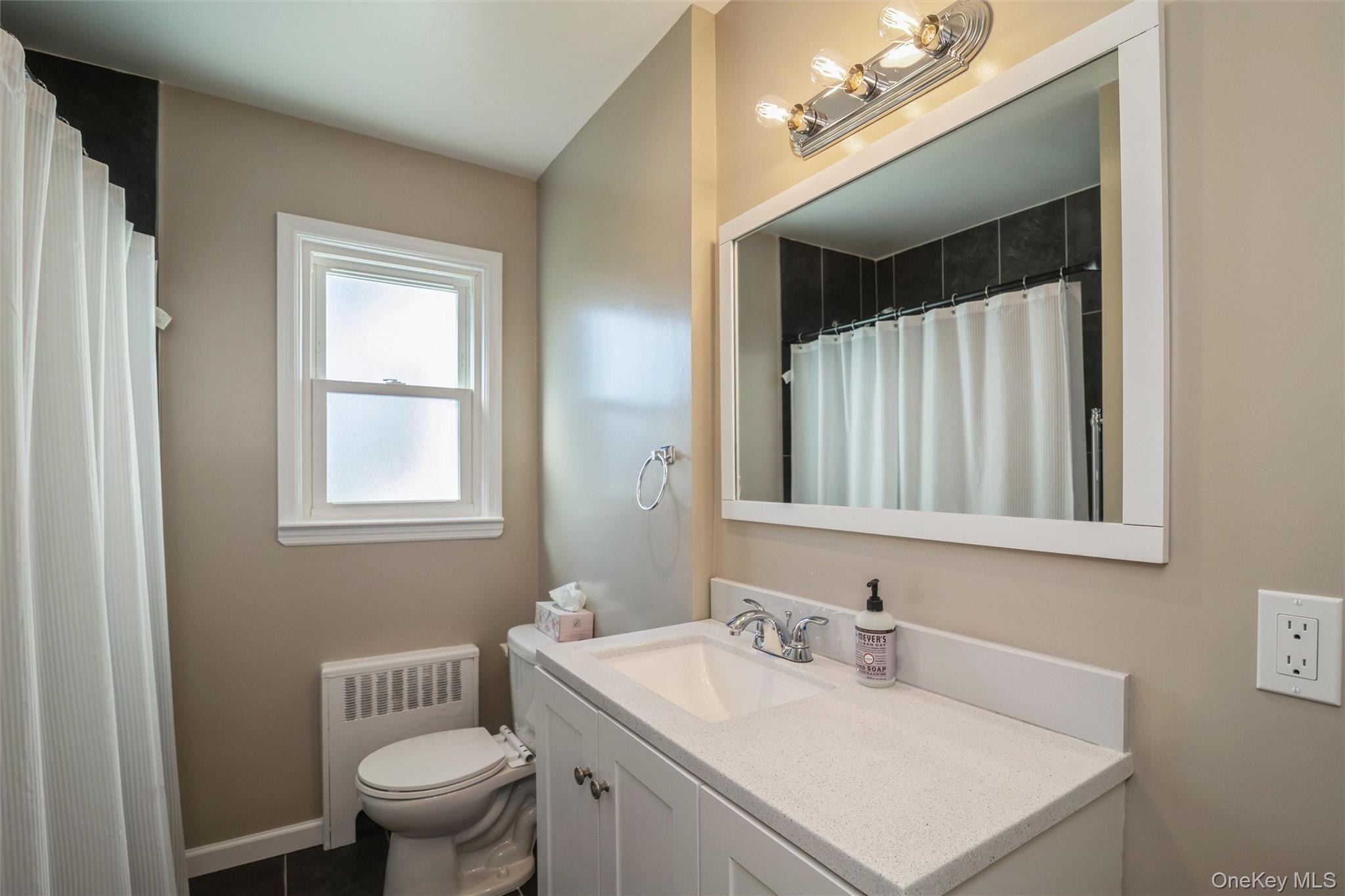 Single Family N Hawthorne Street  Nassau County, NY 11758, MLS-1039823-18