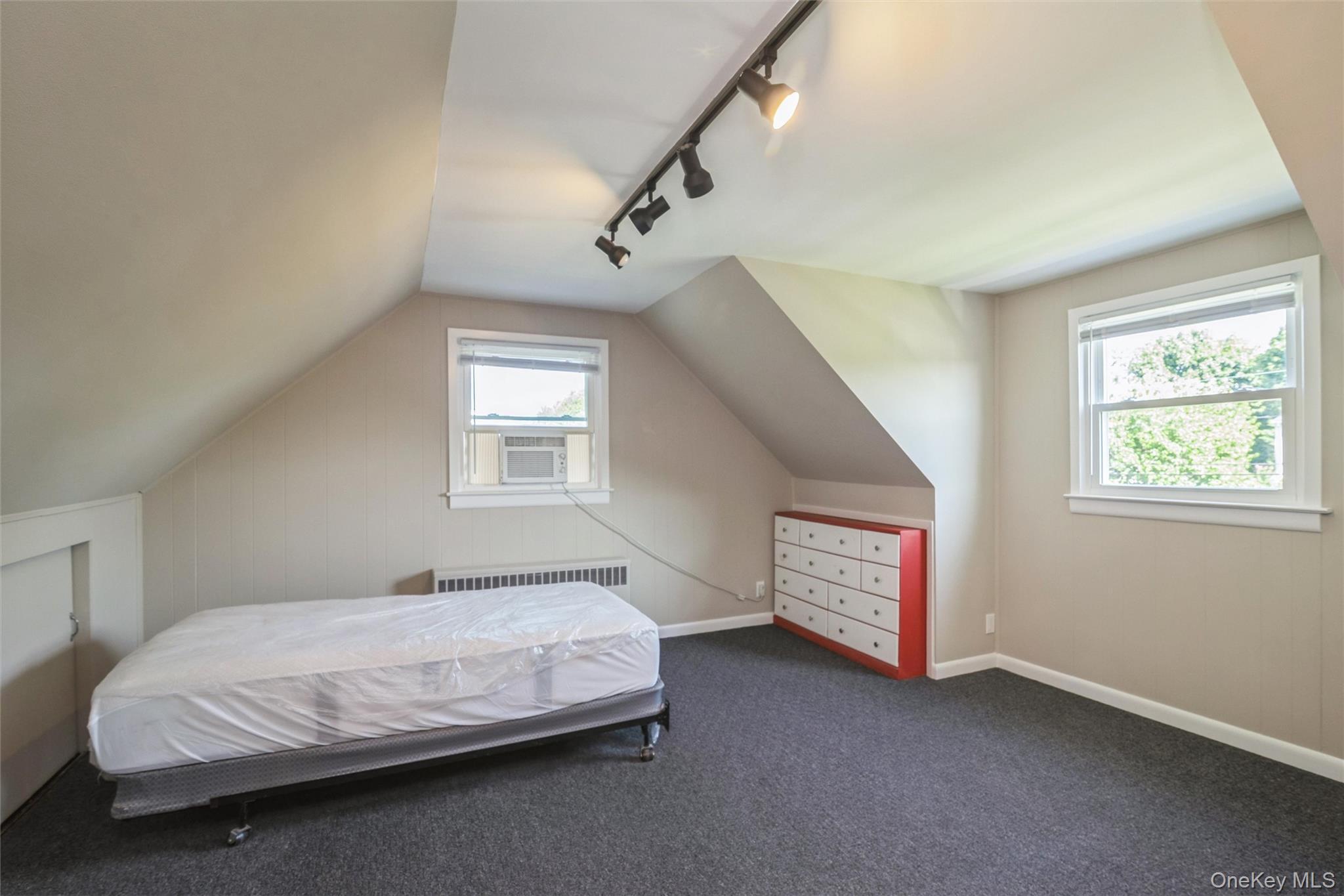 Single Family N Hawthorne Street  Nassau County, NY 11758, MLS-1039823-19