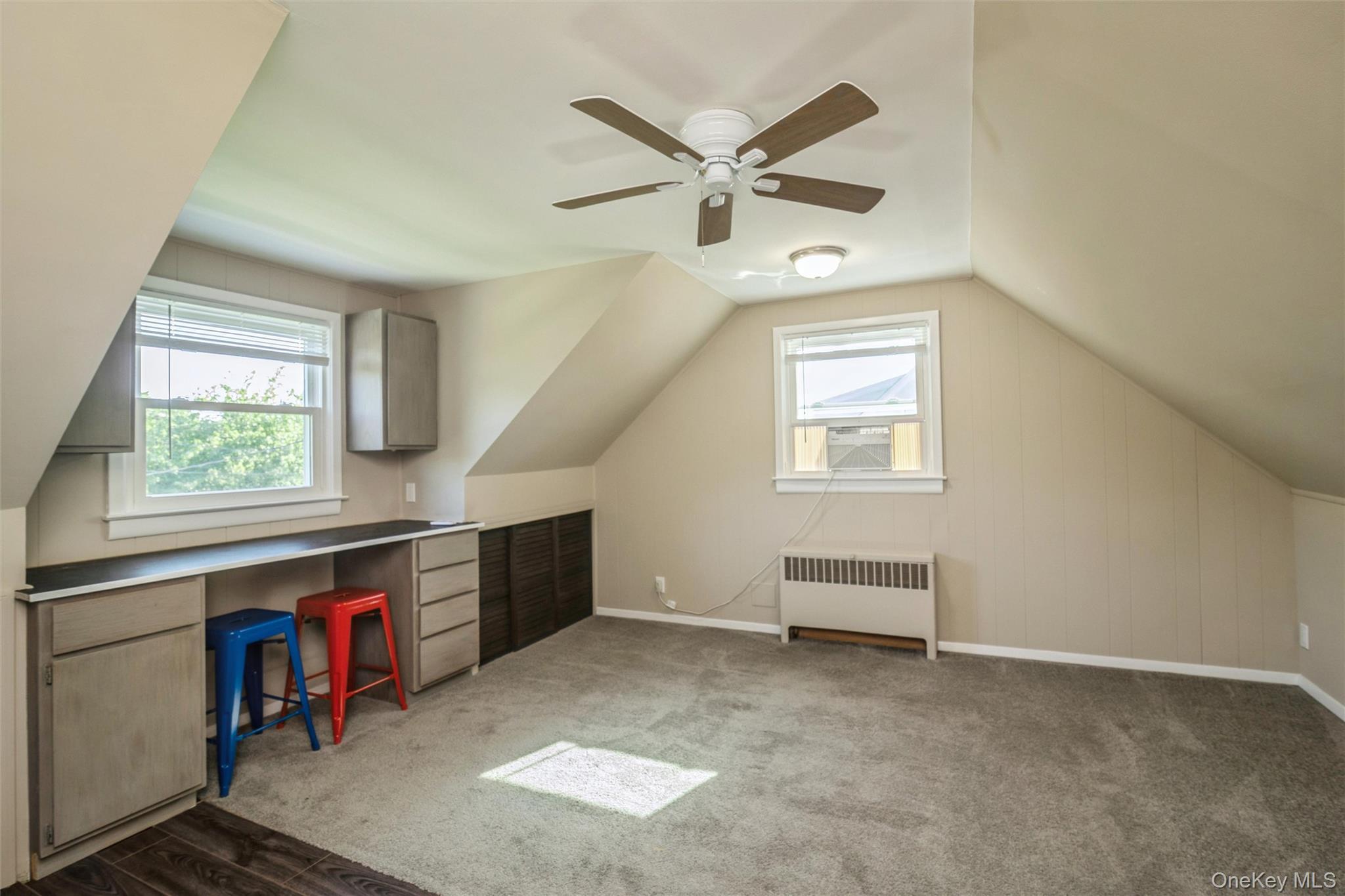 Single Family N Hawthorne Street  Nassau County, NY 11758, MLS-1039823-23