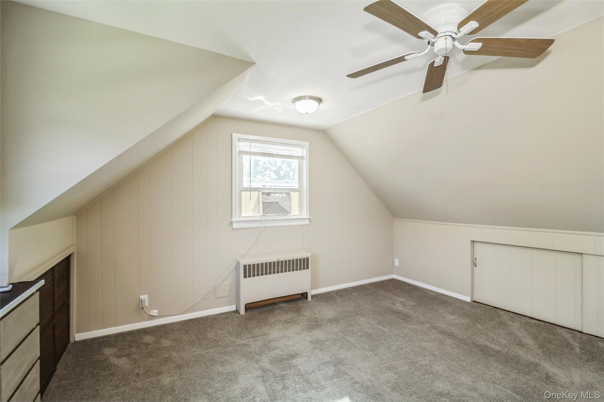Single Family N Hawthorne Street  Nassau County, NY 11758, MLS-1039823-24