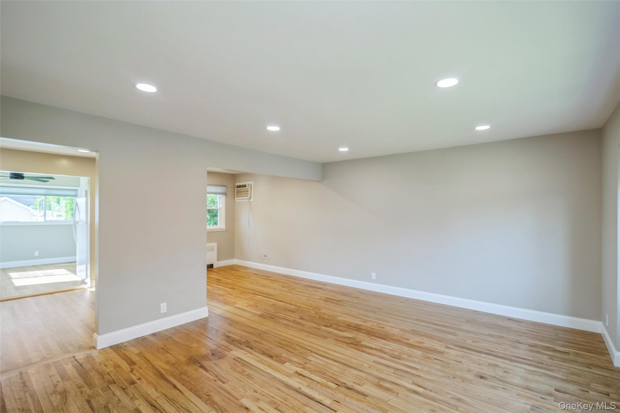 Single Family N Hawthorne Street  Nassau County, NY 11758, MLS-1039823-4