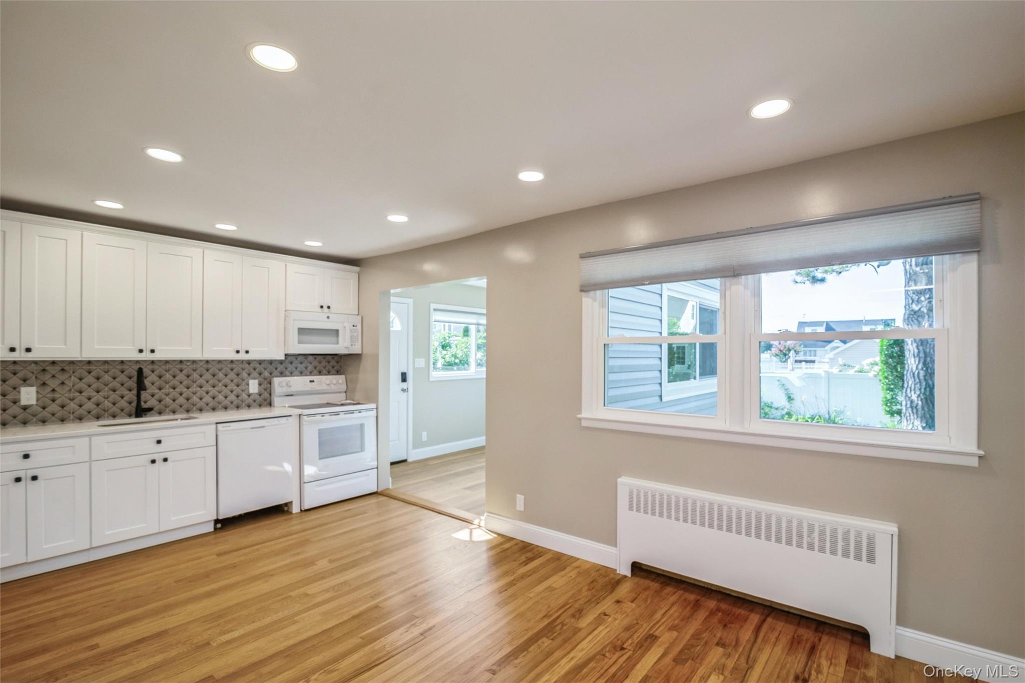 Single Family N Hawthorne Street  Nassau County, NY 11758, MLS-1039823-8