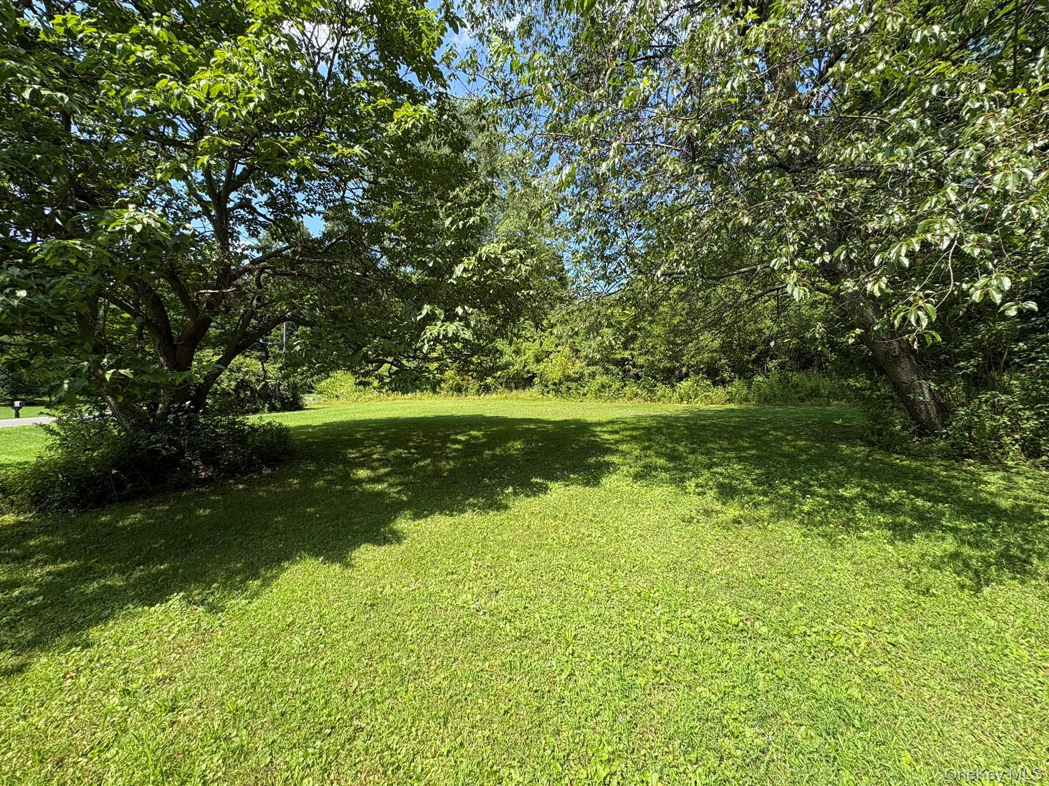 Single Family Route 22 Dutchess County, NY 12501, MLS-1039832-5