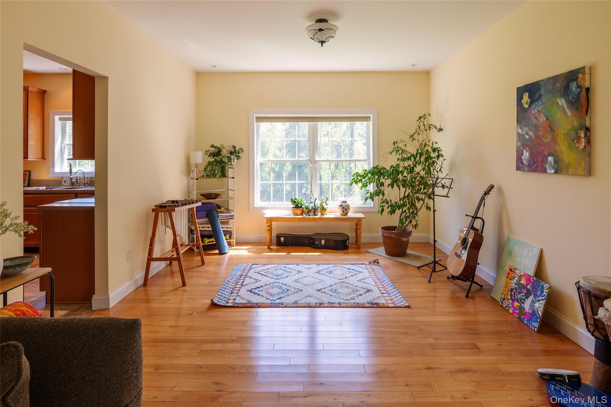 Single Family Plutarch Ulster County, NY 12528, MLS-1039842-8