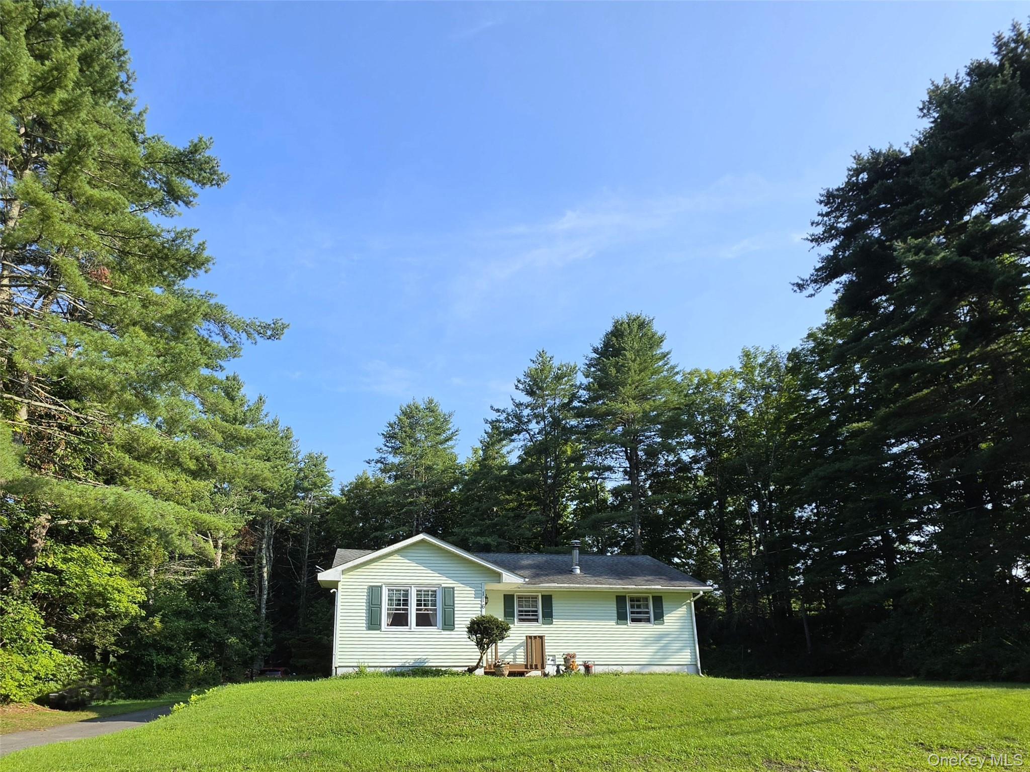 Single Family Summitville Road Sullivan County, NY 12790, MLS-1039862-2