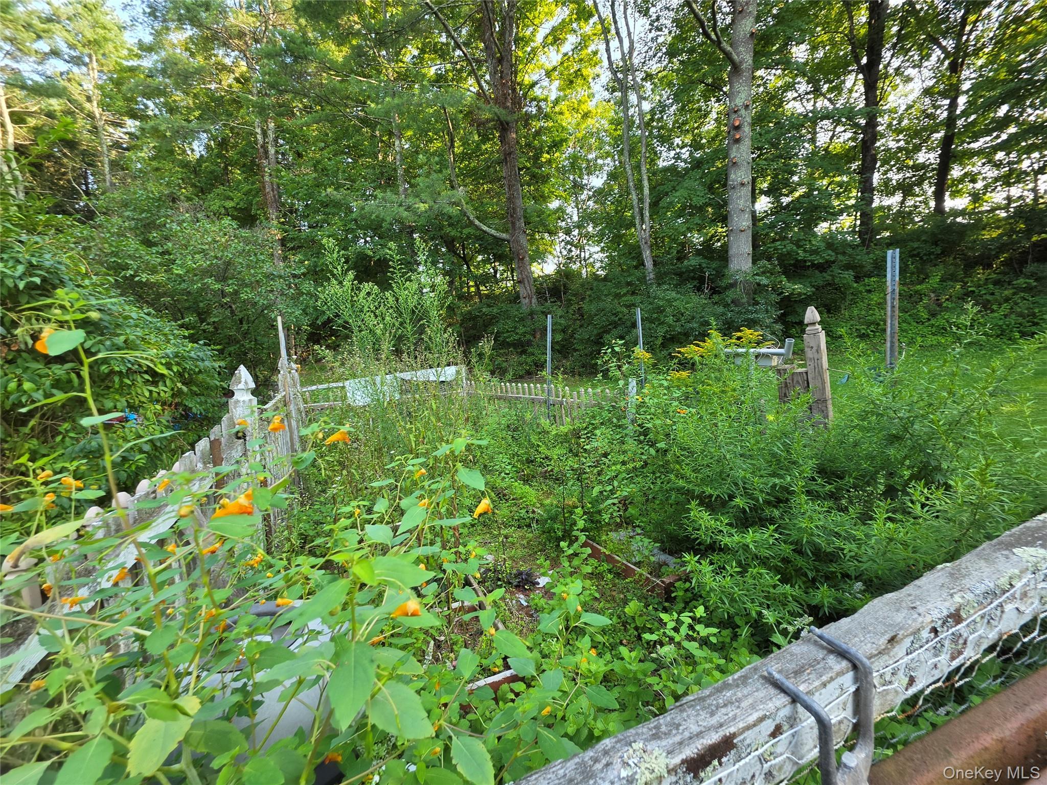 Single Family Summitville Road Sullivan County, NY 12790, MLS-1039862-23