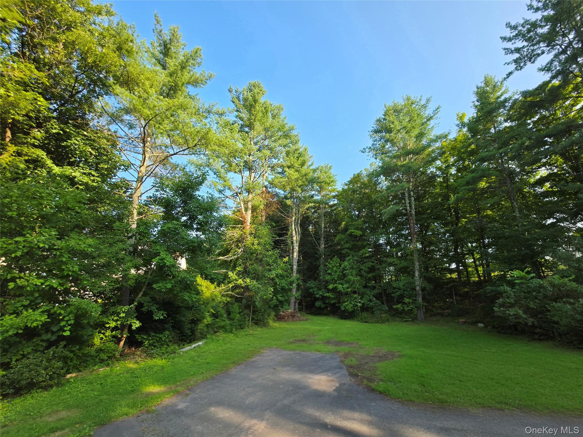 Single Family Summitville Road Sullivan County, NY 12790, MLS-1039862-27