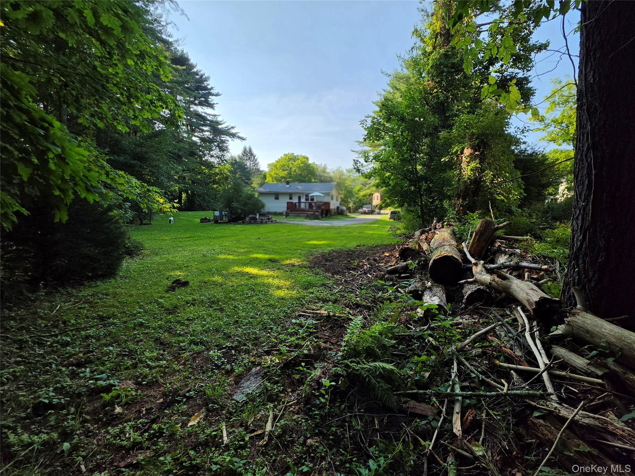Single Family Summitville Road Sullivan County, NY 12790, MLS-1039862-28