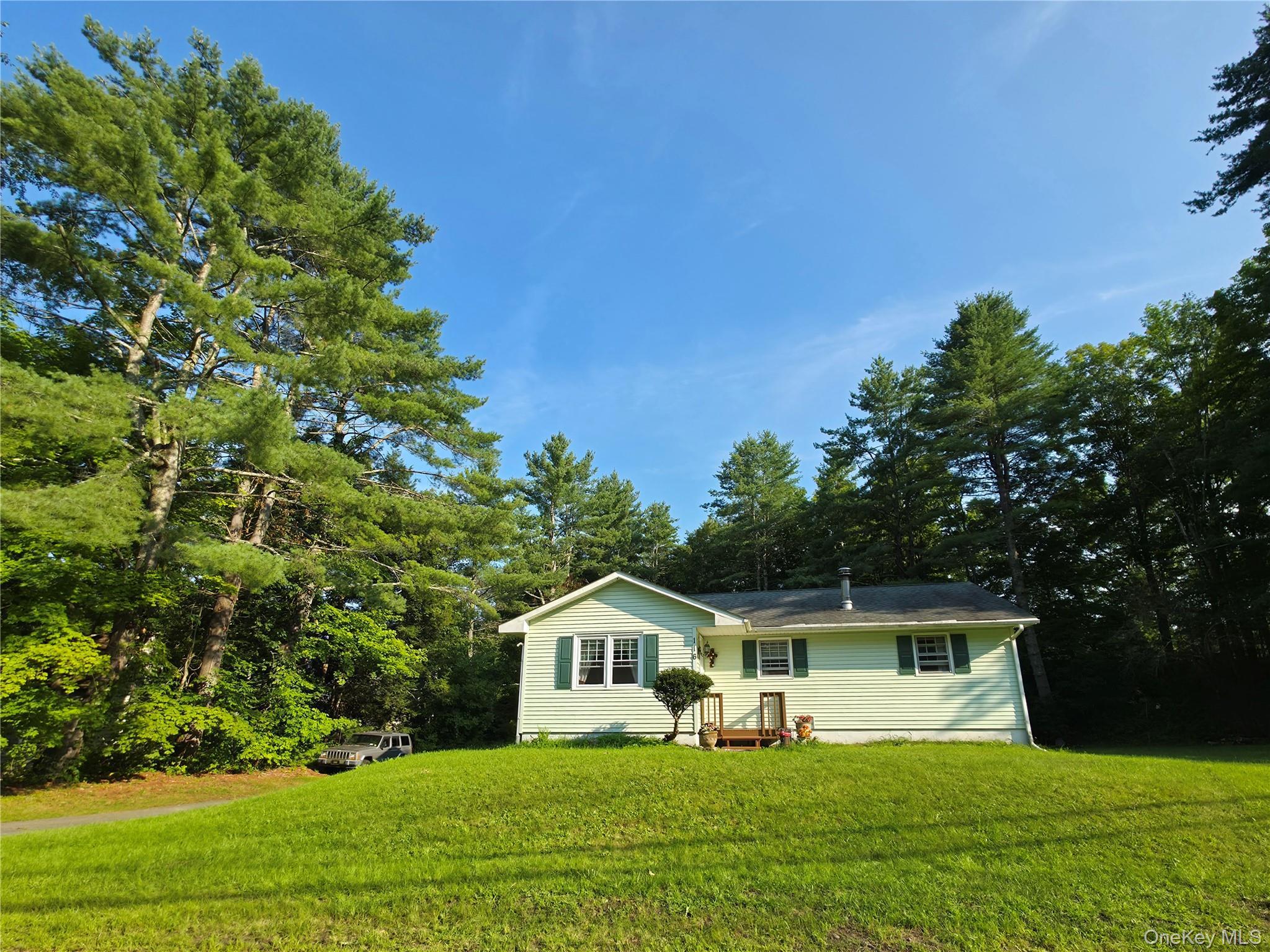 Single Family Summitville Road Sullivan County, NY 12790, MLS-1039862-34