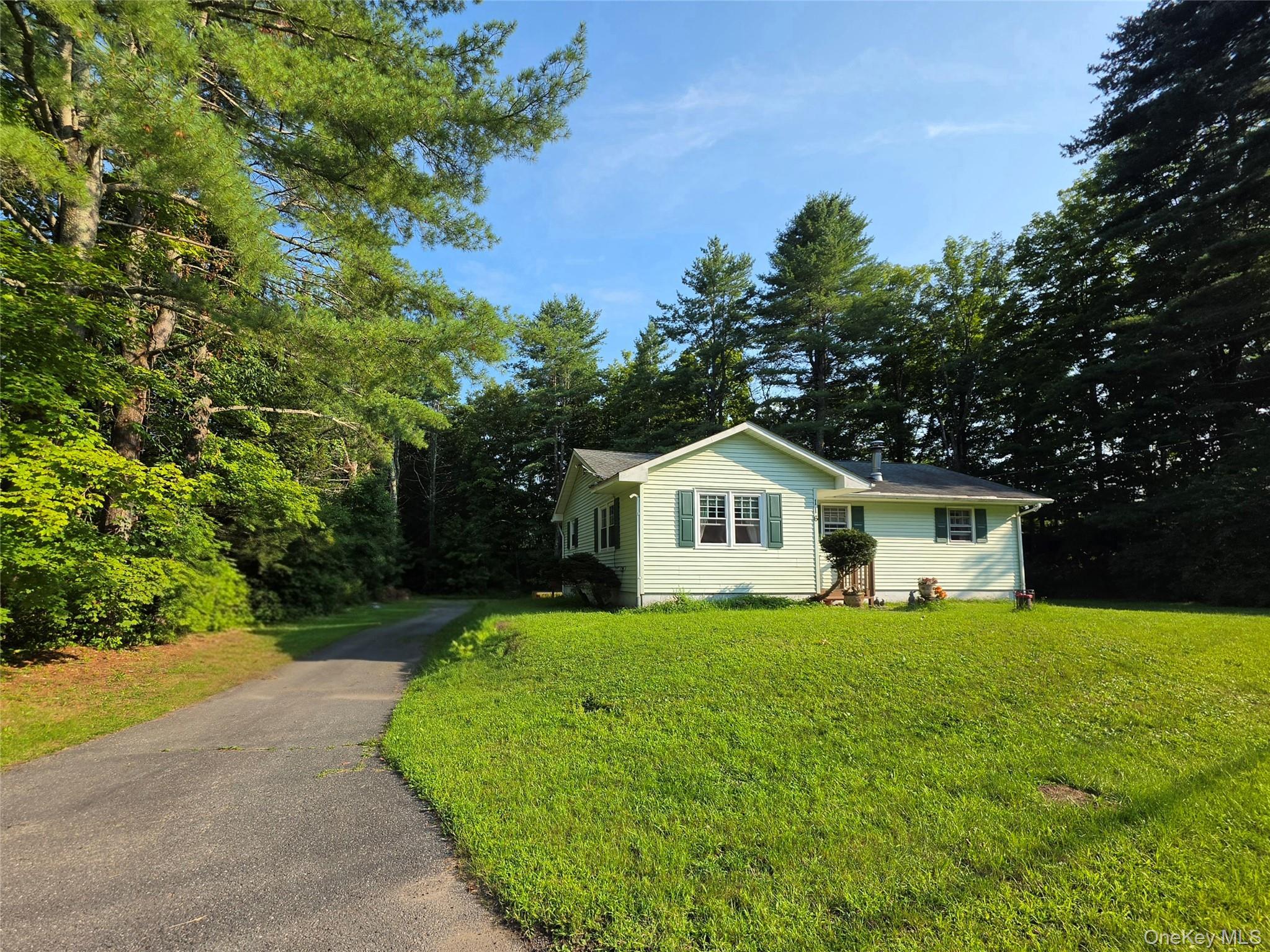 Single Family Summitville Road Sullivan County, NY 12790, MLS-1039862-36
