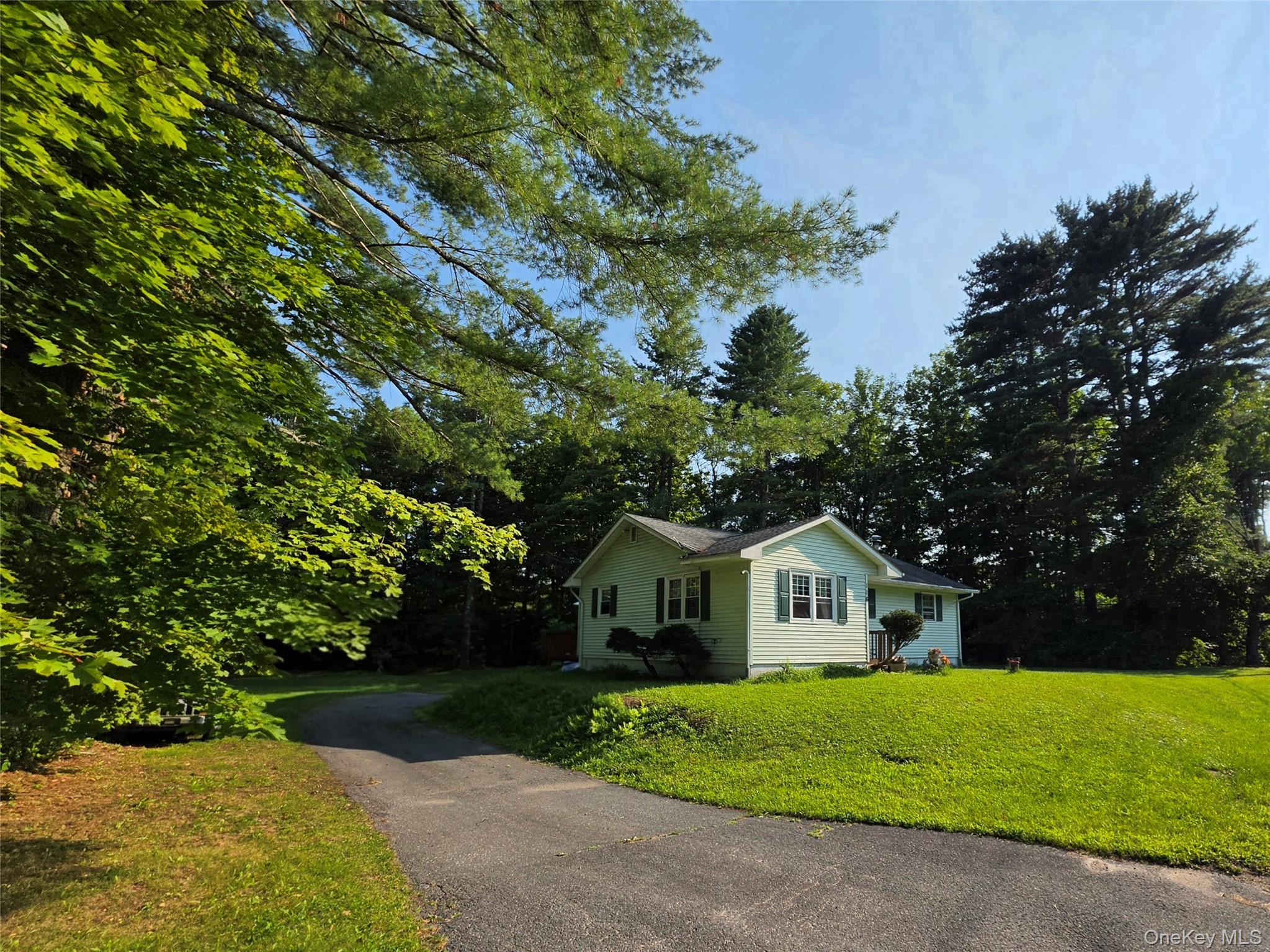 Single Family Summitville Road Sullivan County, NY 12790, MLS-1039862-43