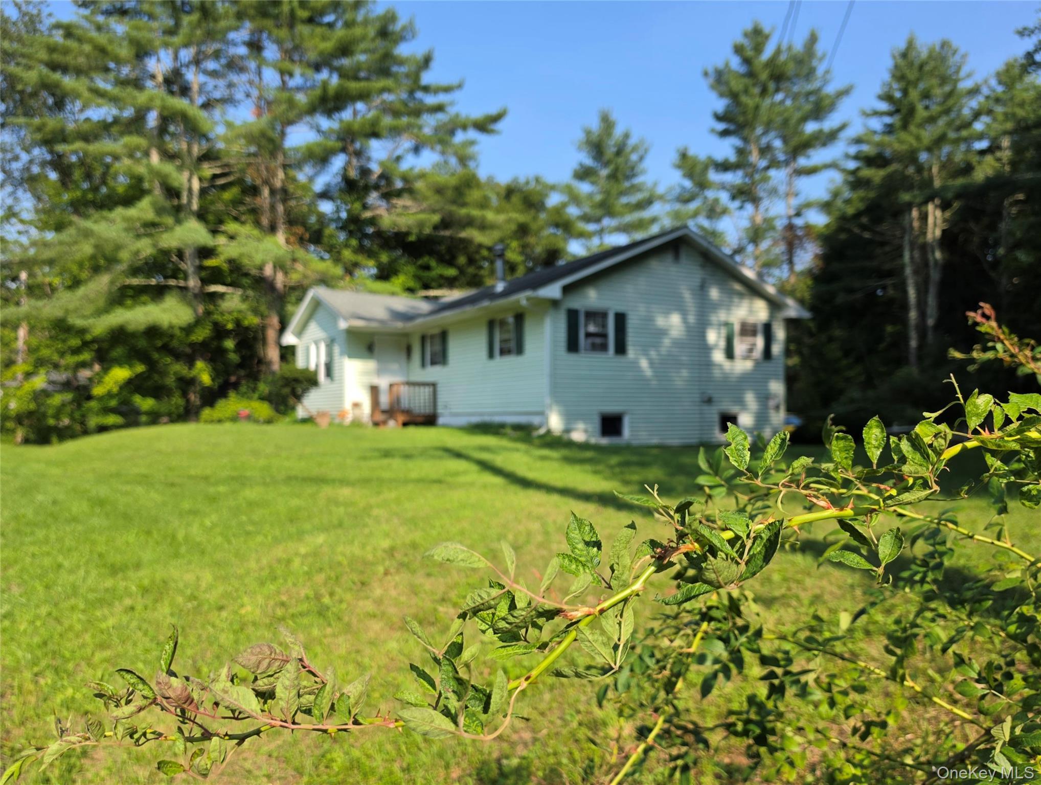 Single Family Summitville Road Sullivan County, NY 12790, MLS-1039862-46