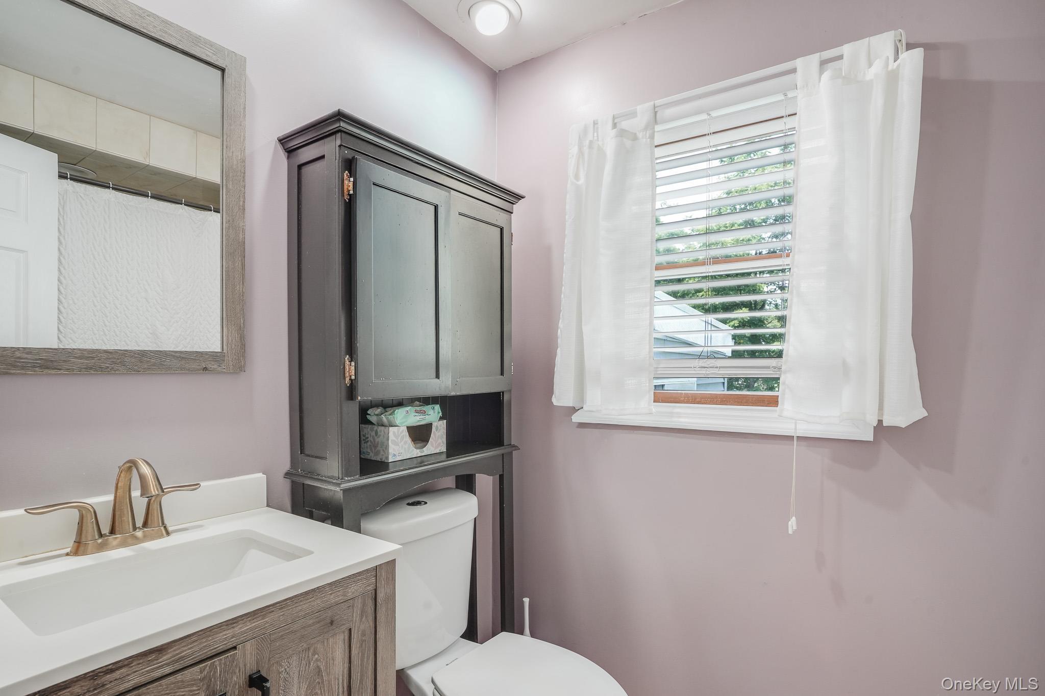 Single Family Hampton Road Dutchess County, NY 12603, MLS-1039910-19