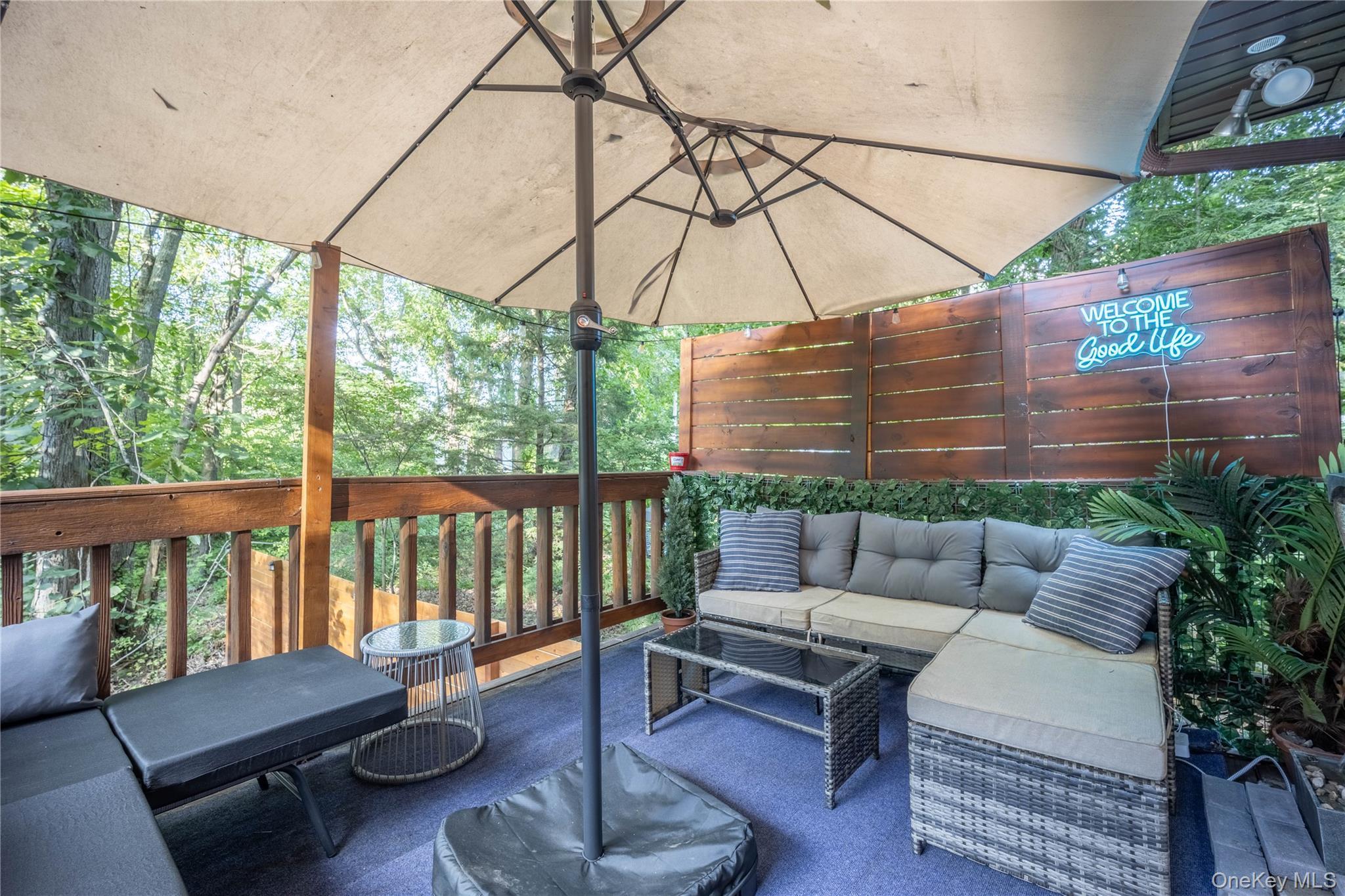 Single Family Lauretta Drive Ulster County, NY 12528, MLS-1039919-19