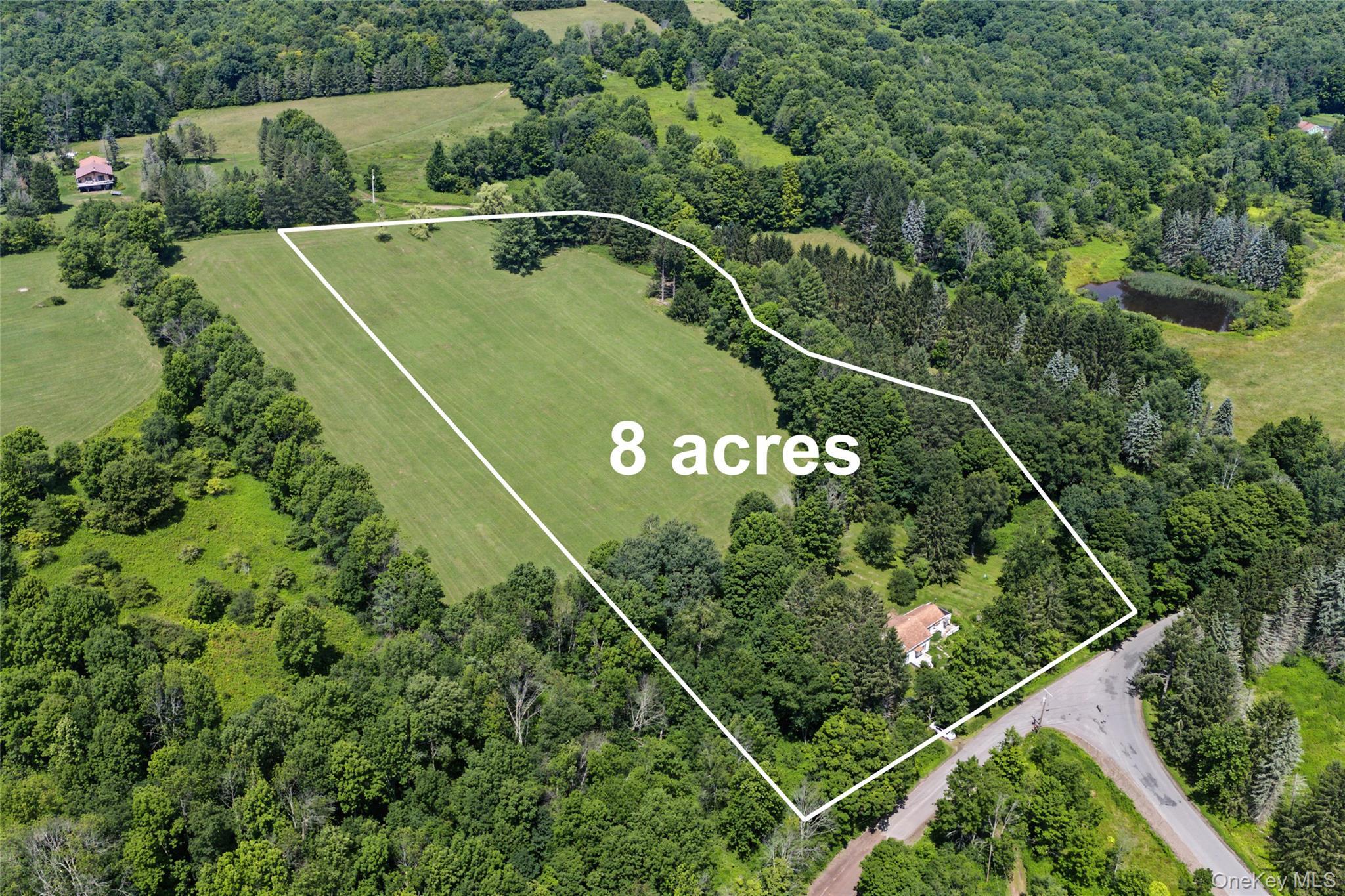 Single Family Pomeroy Road Delaware County, NY 13846, MLS-1039921-10