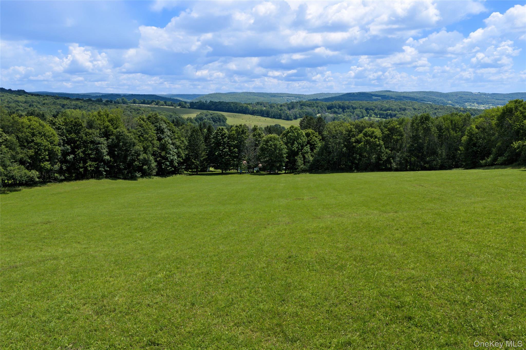 Single Family Pomeroy Road Delaware County, NY 13846, MLS-1039921-4