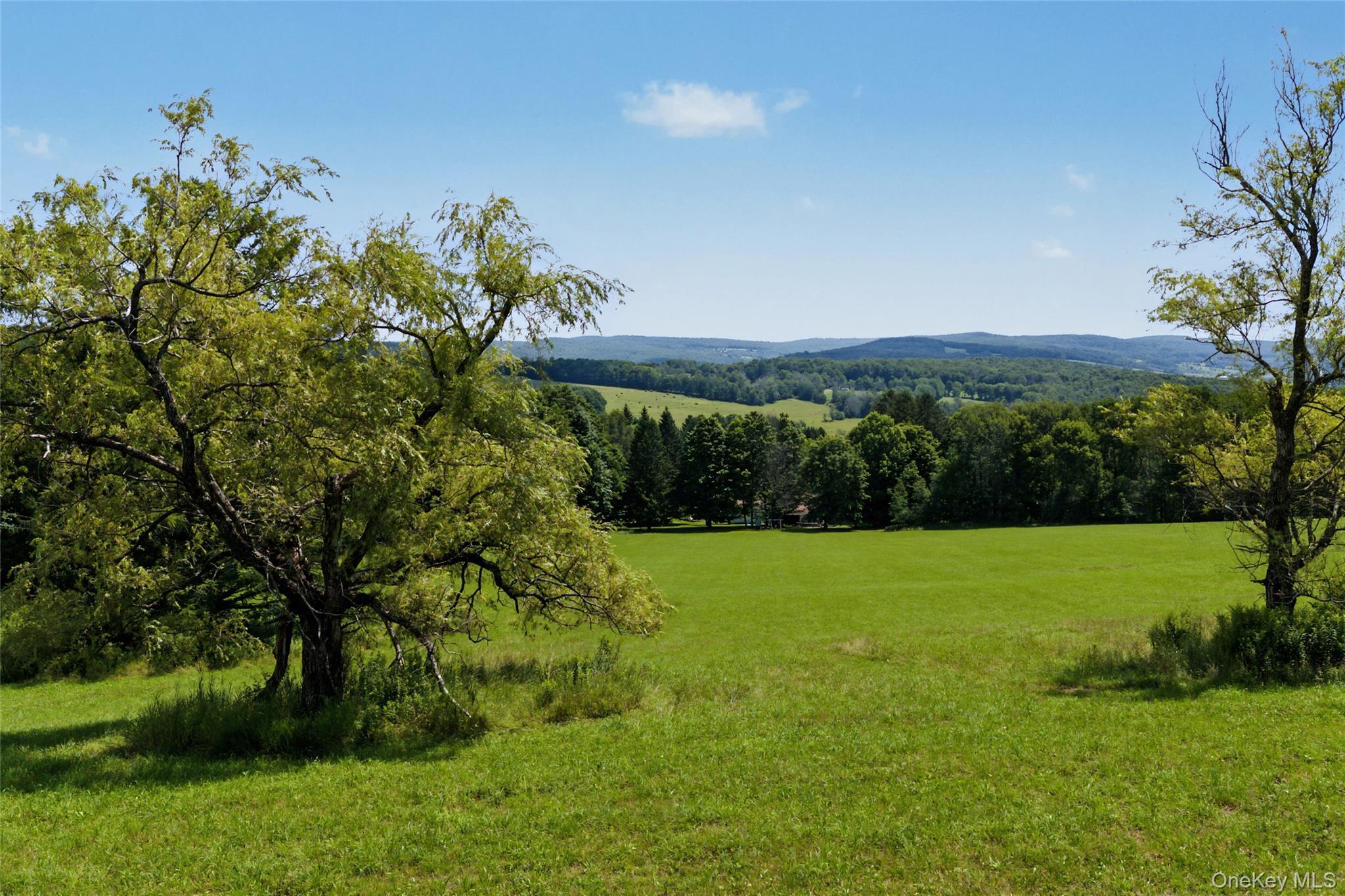 Single Family Pomeroy Road Delaware County, NY 13846, MLS-1039921-41