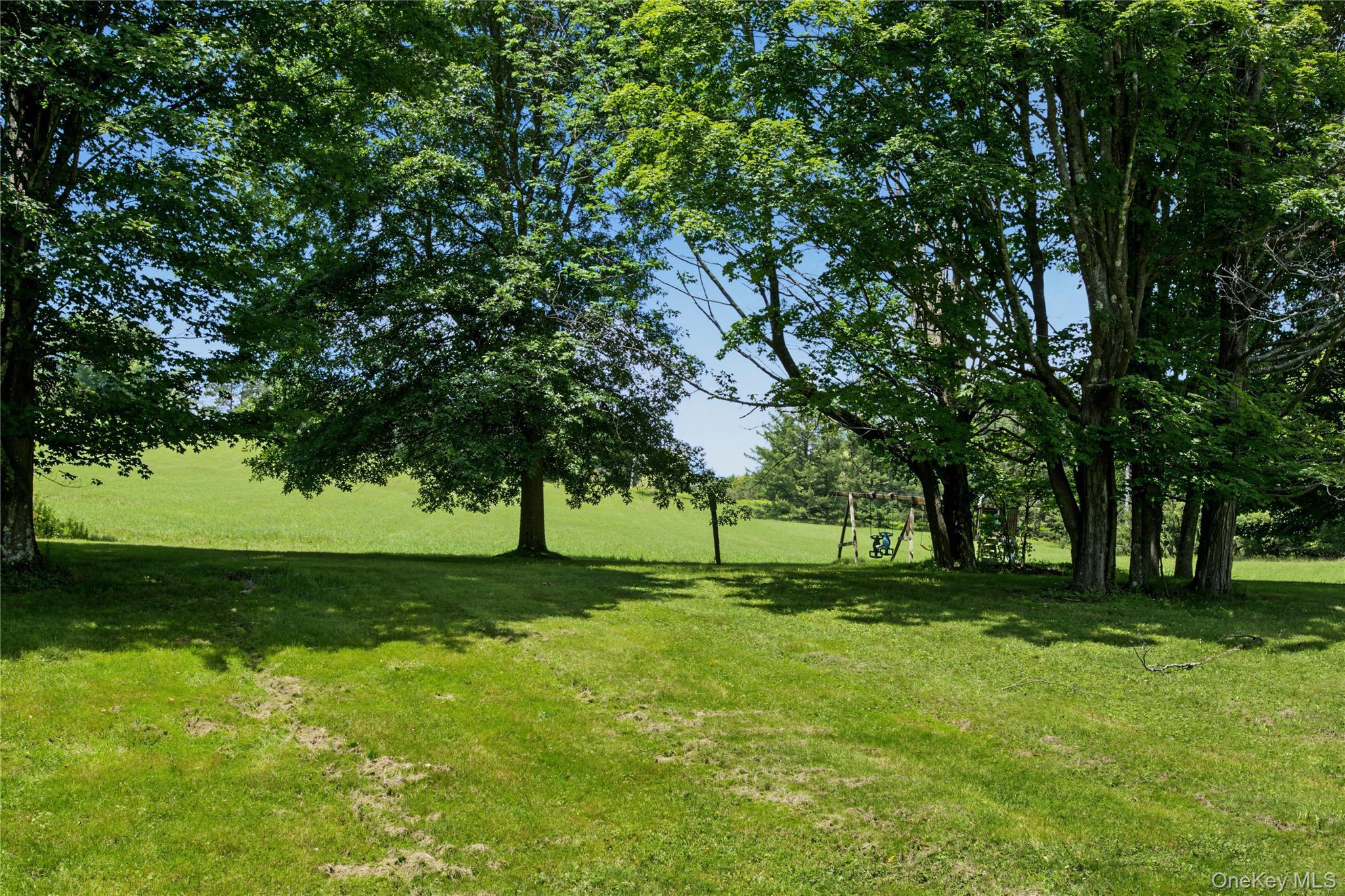 Single Family Pomeroy Road Delaware County, NY 13846, MLS-1039921-42
