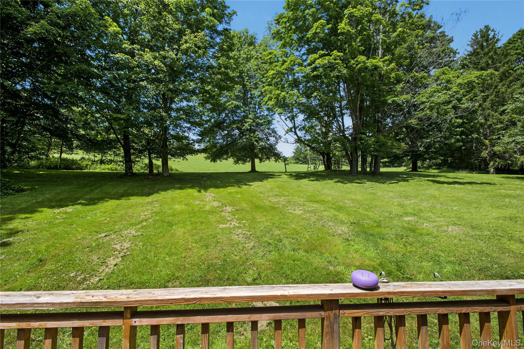 Single Family Pomeroy Road Delaware County, NY 13846, MLS-1039921-48