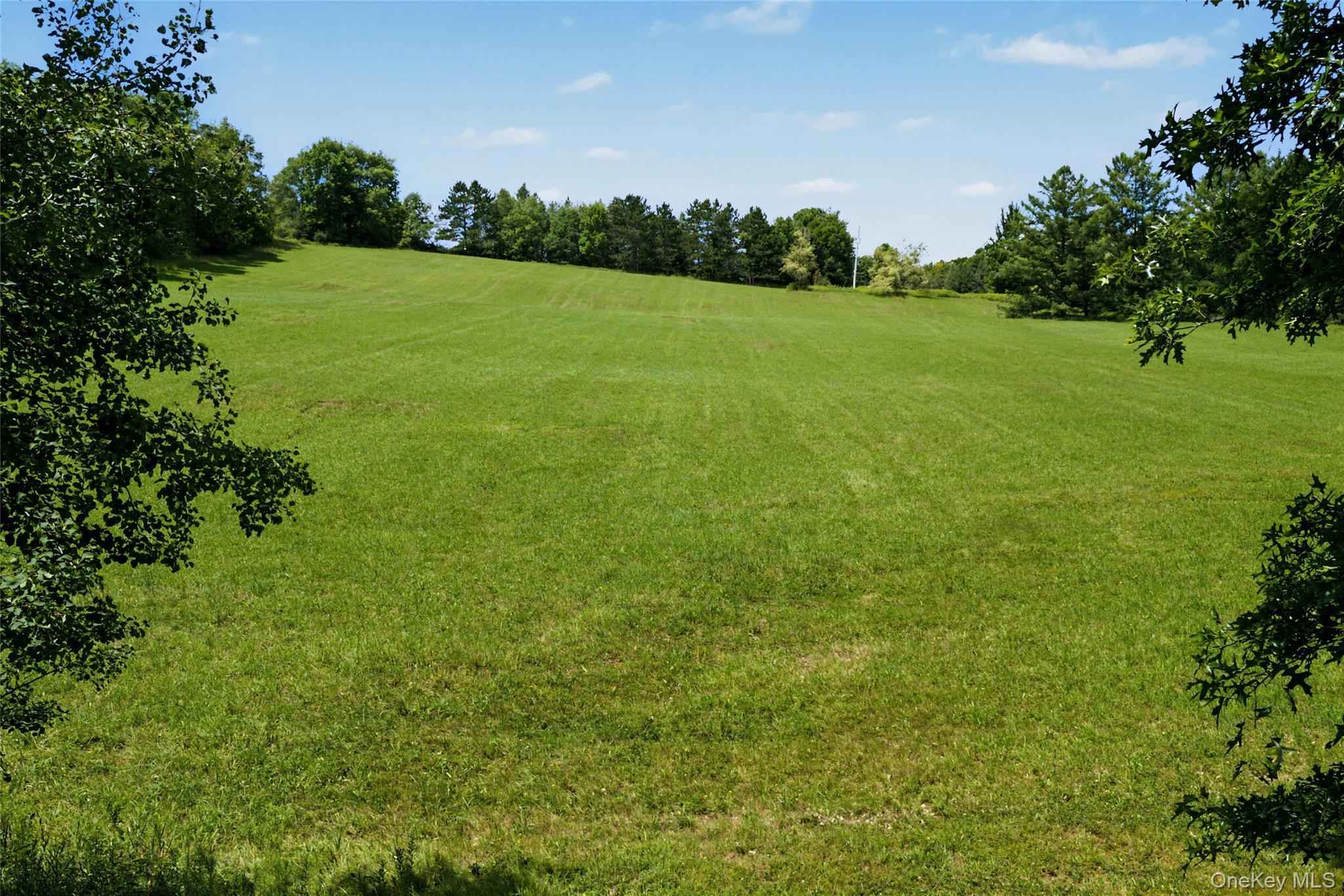 Single Family Pomeroy Road Delaware County, NY 13846, MLS-1039921-5