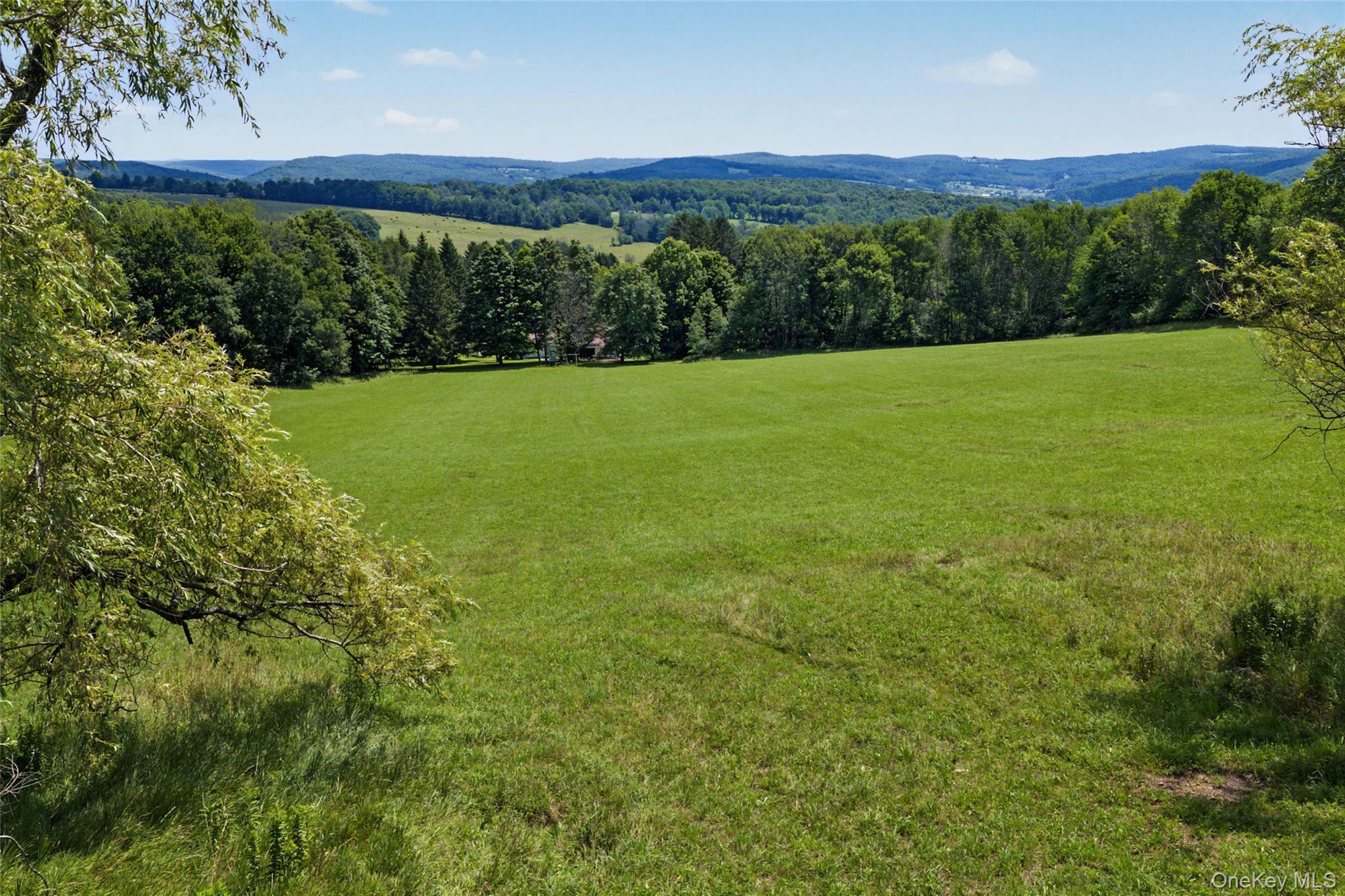 Single Family Pomeroy Road Delaware County, NY 13846, MLS-1039921-6