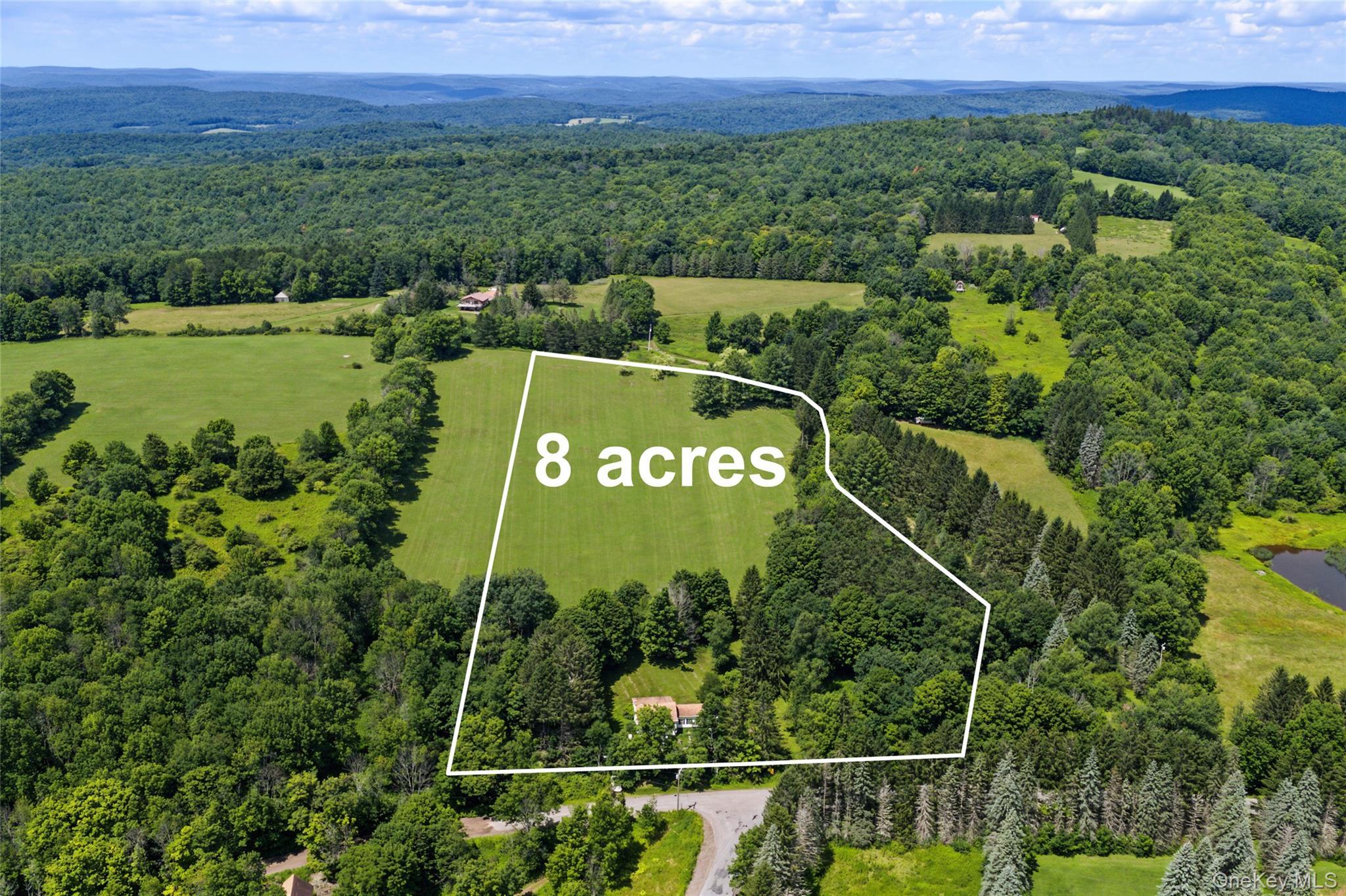 Single Family Pomeroy Road Delaware County, NY 13846, MLS-1039921-8