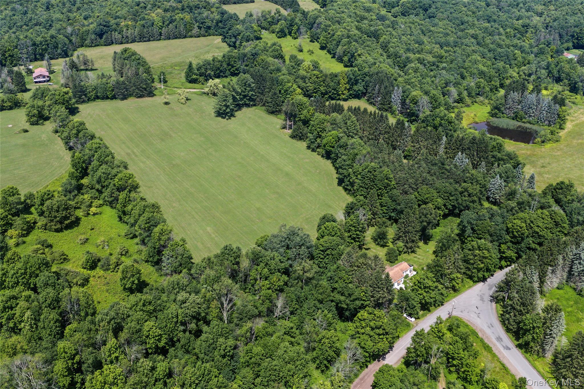 Single Family Pomeroy Road Delaware County, NY 13846, MLS-1039921-9