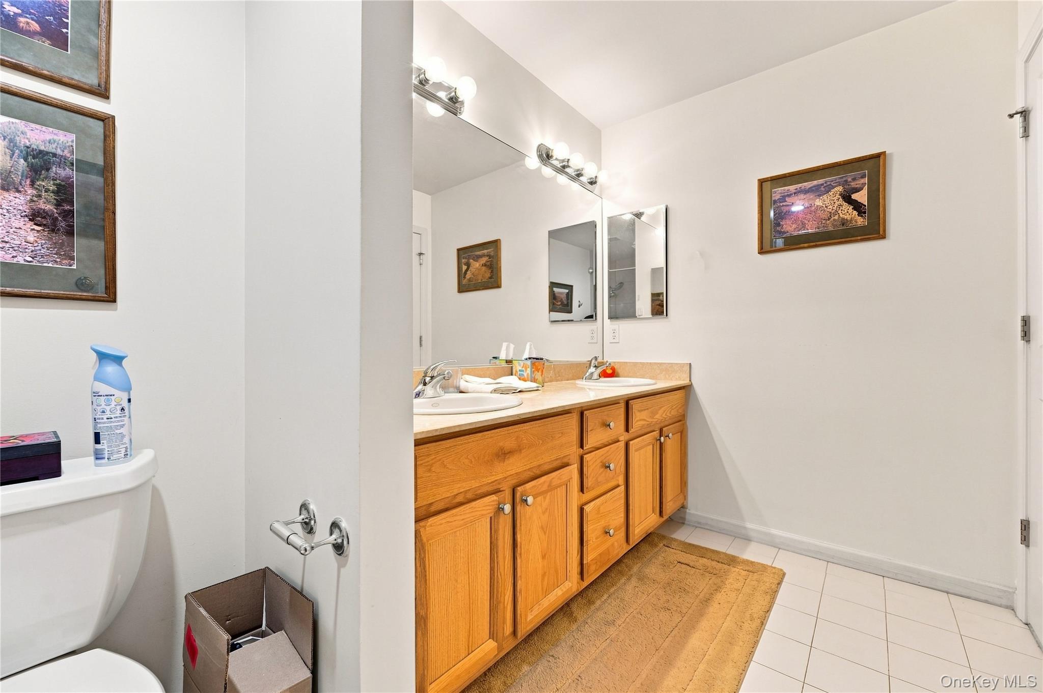 Single Family Bridgeview Drive Dutchess County, NY 12601, MLS-1039925-30