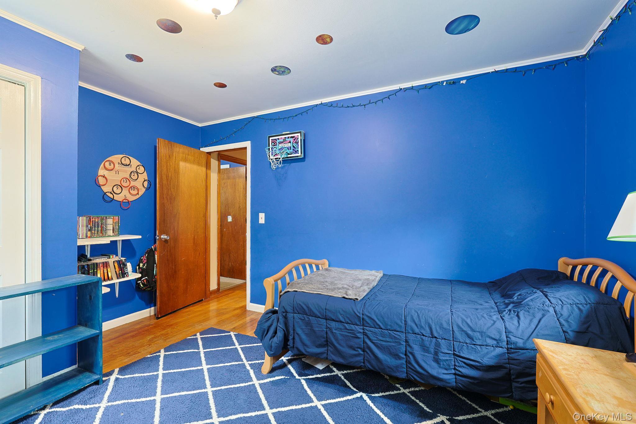 Single Family Hubshop Road Orange County, NY 10918, MLS-1039933-13